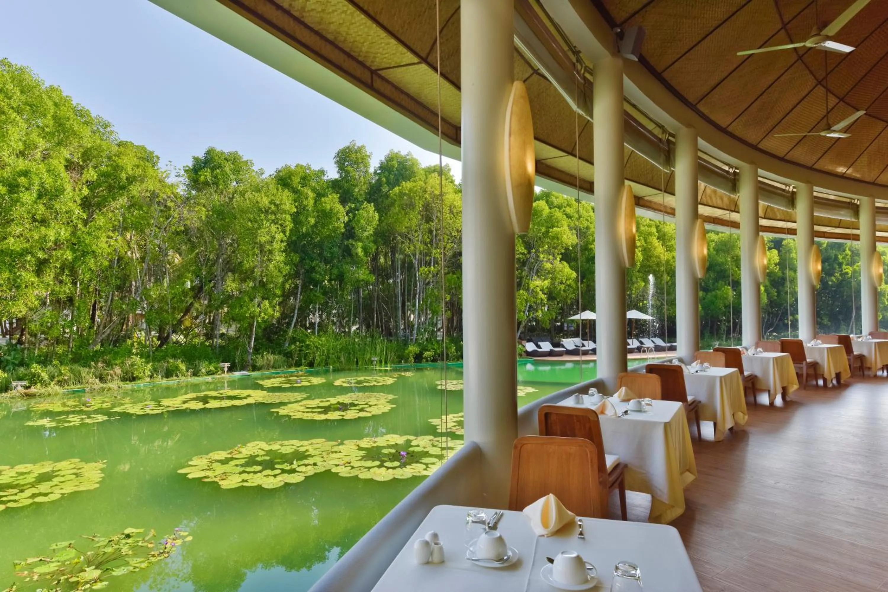 Restaurant/places to eat in Dreamland Maldives Resort