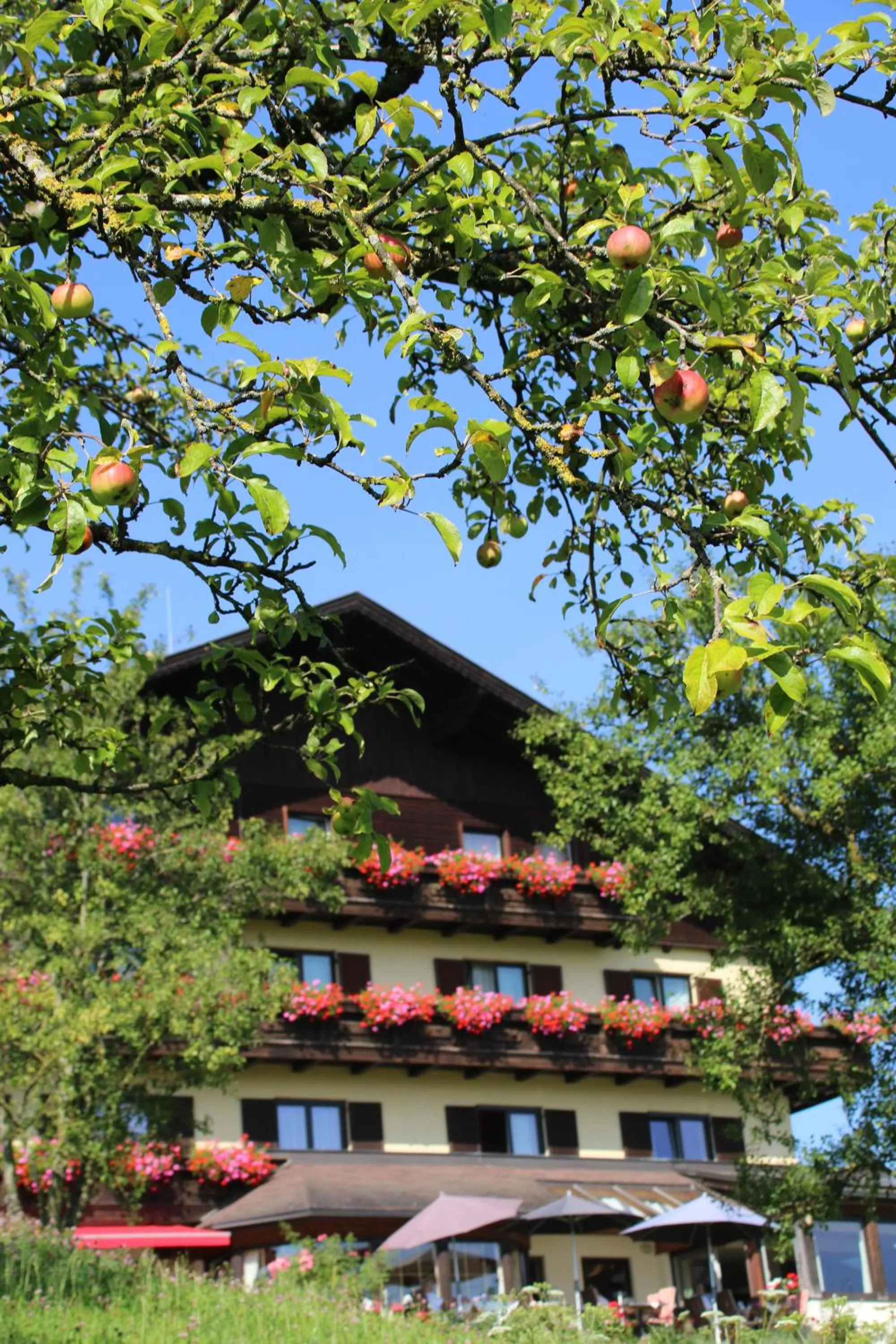 On site in Hotel Haberl - Attersee