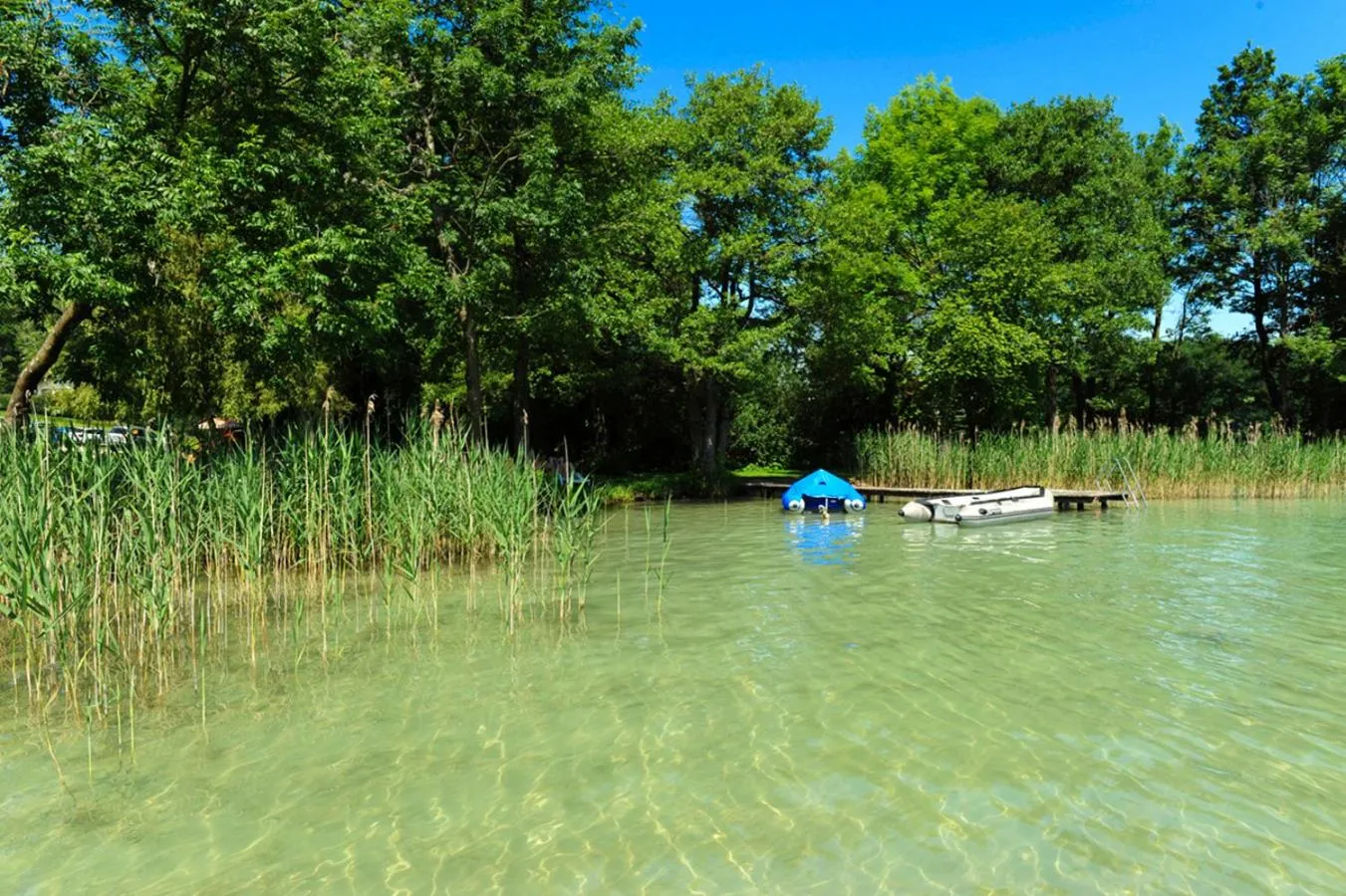 Beach in Hotel Haberl - Attersee