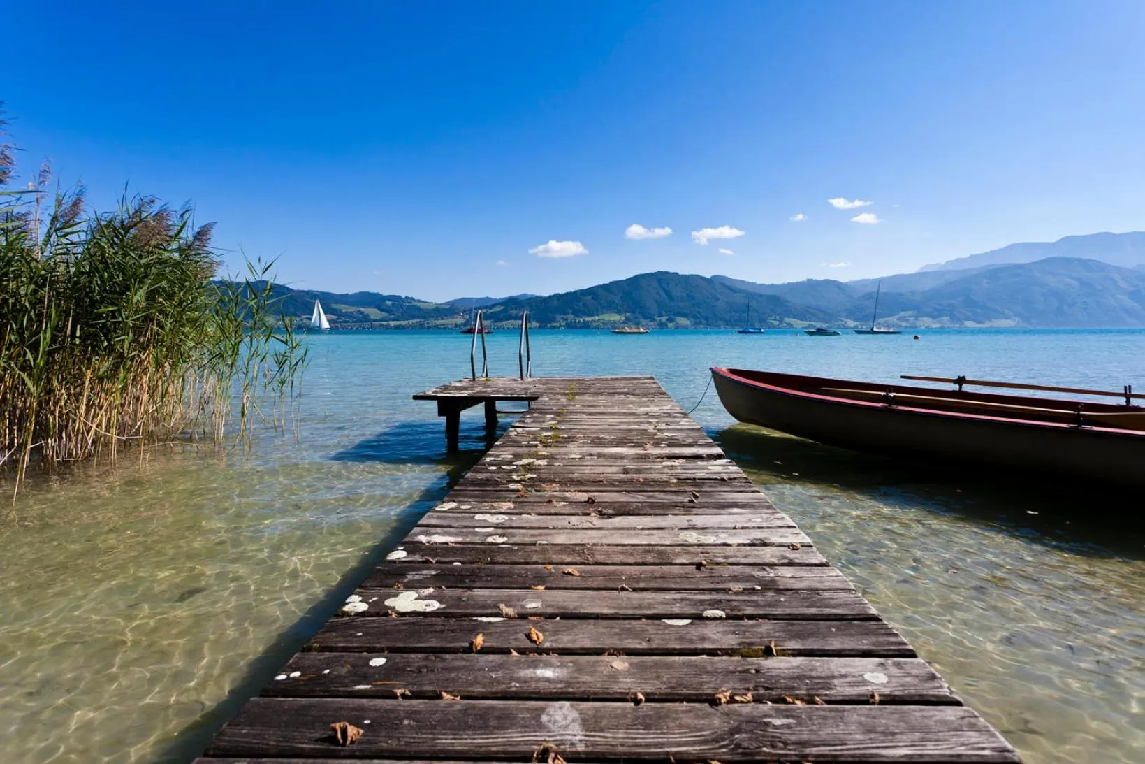 Beach in Hotel Haberl - Attersee