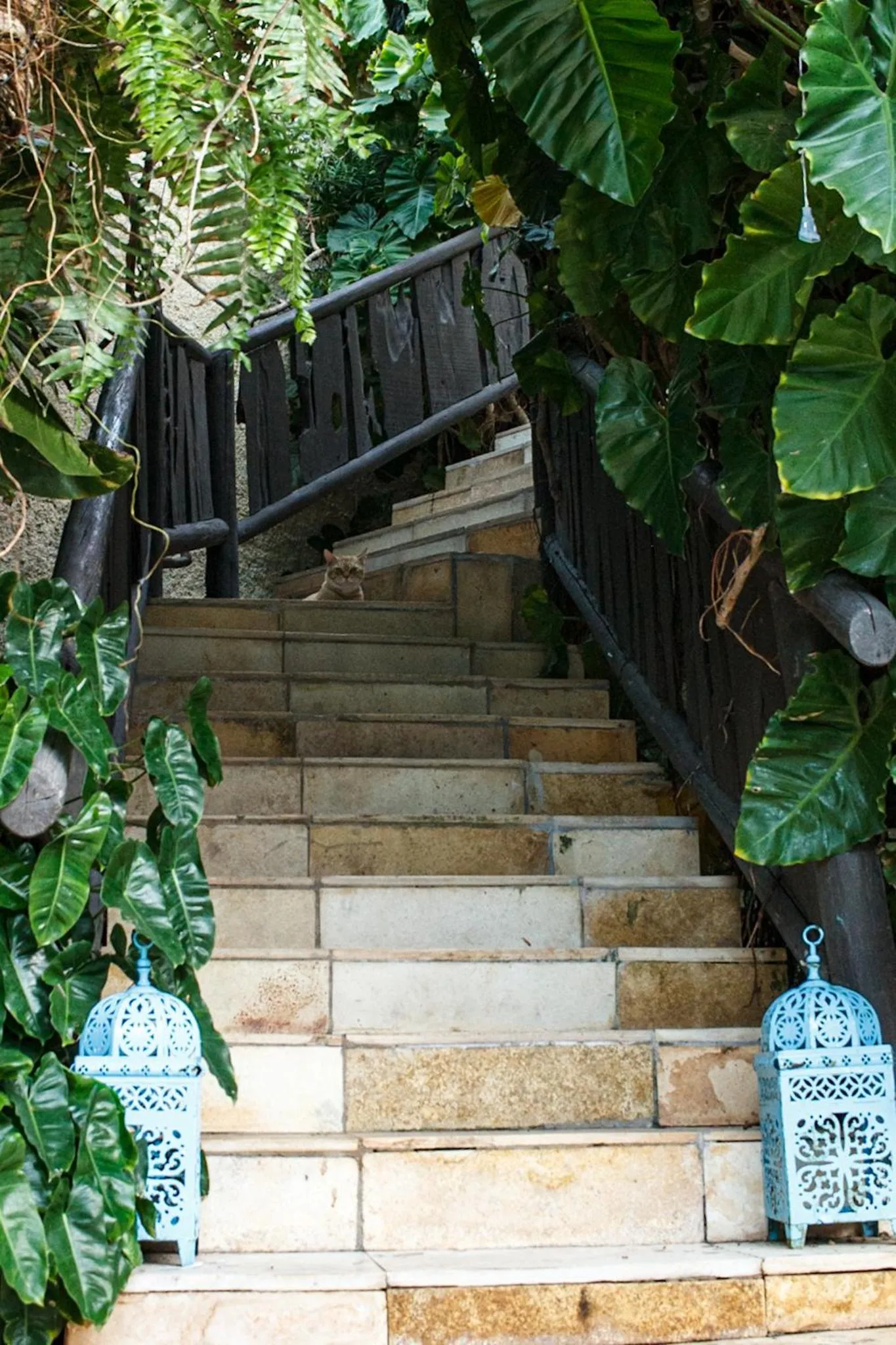 Day in Hotel de Charme Castelinho