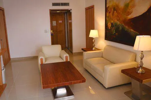 Living room in Hotel Laffayette Ejecutivo