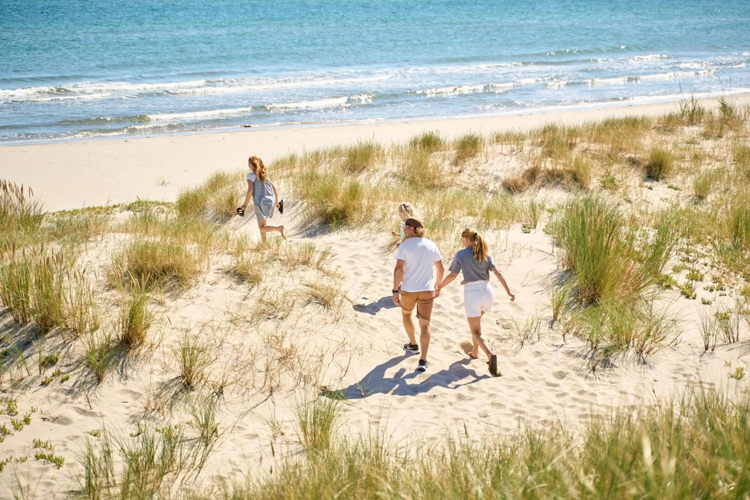 Natural landscape in Hotel Hvide Klit