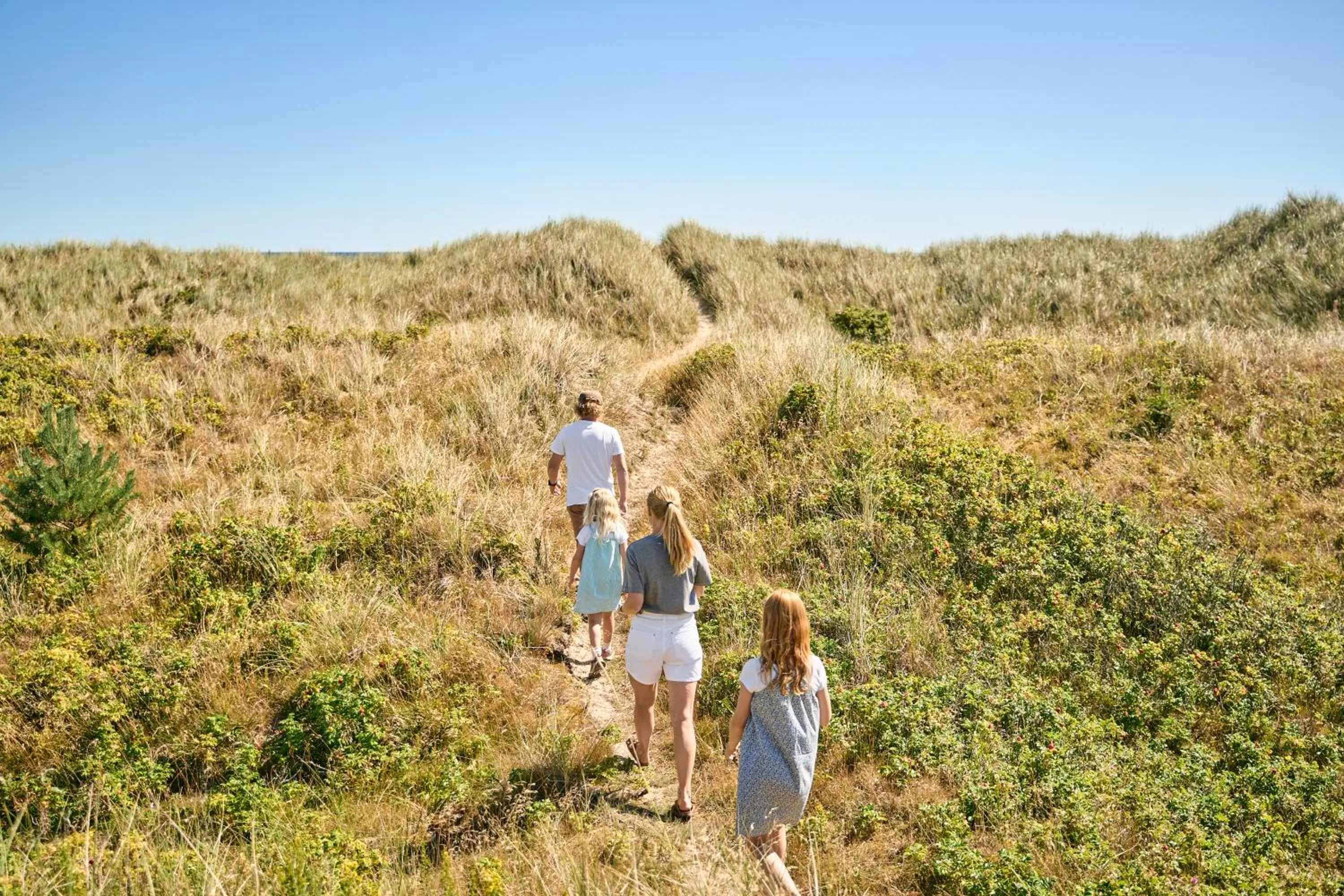 Natural landscape in Hotel Hvide Klit