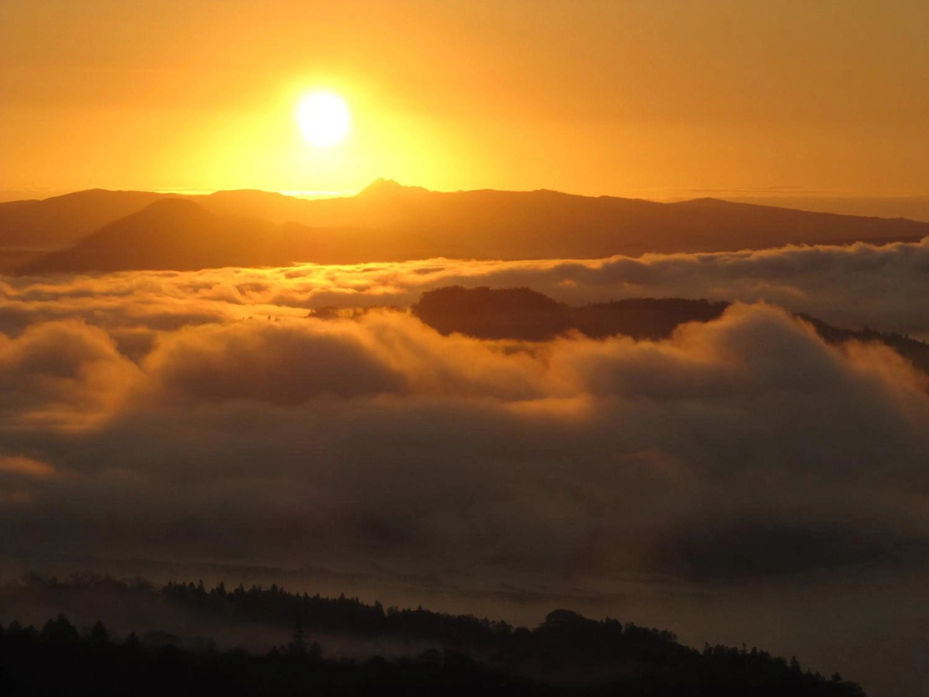 Activities in Kussharo Genya Youth Guesthouse