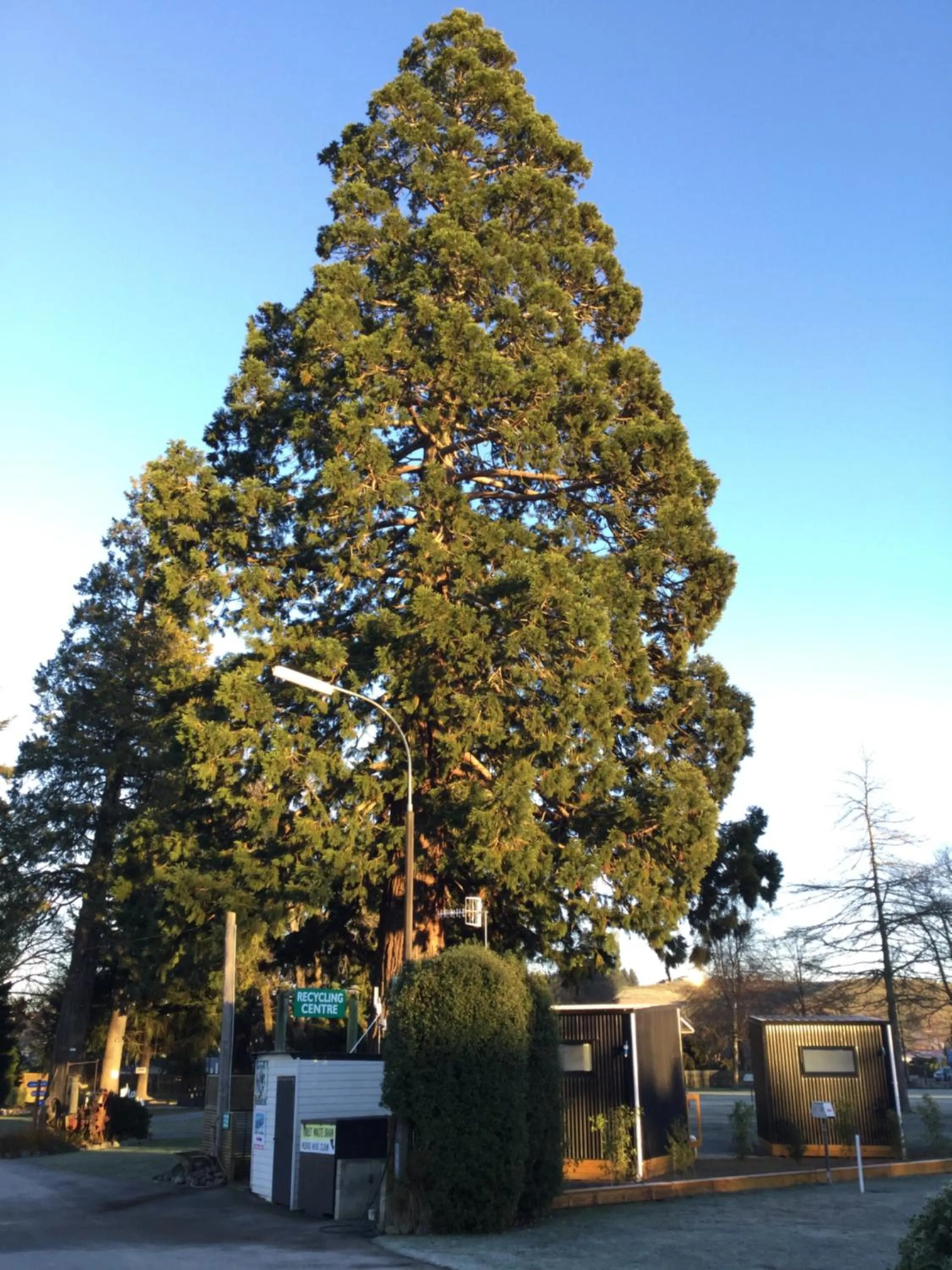 On site in Geraldine TOP 10 Holiday Park