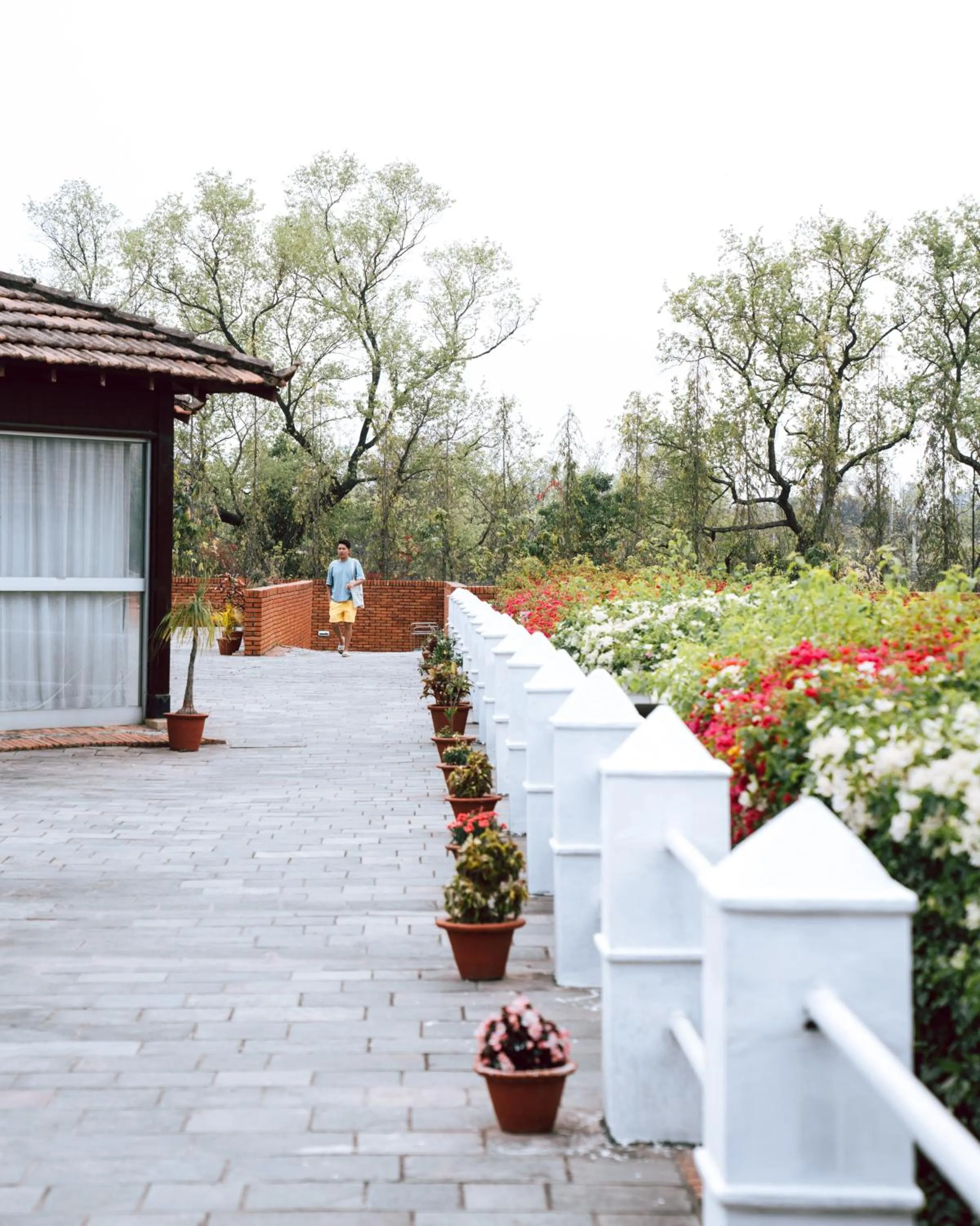 Day in Hokke Lumbini