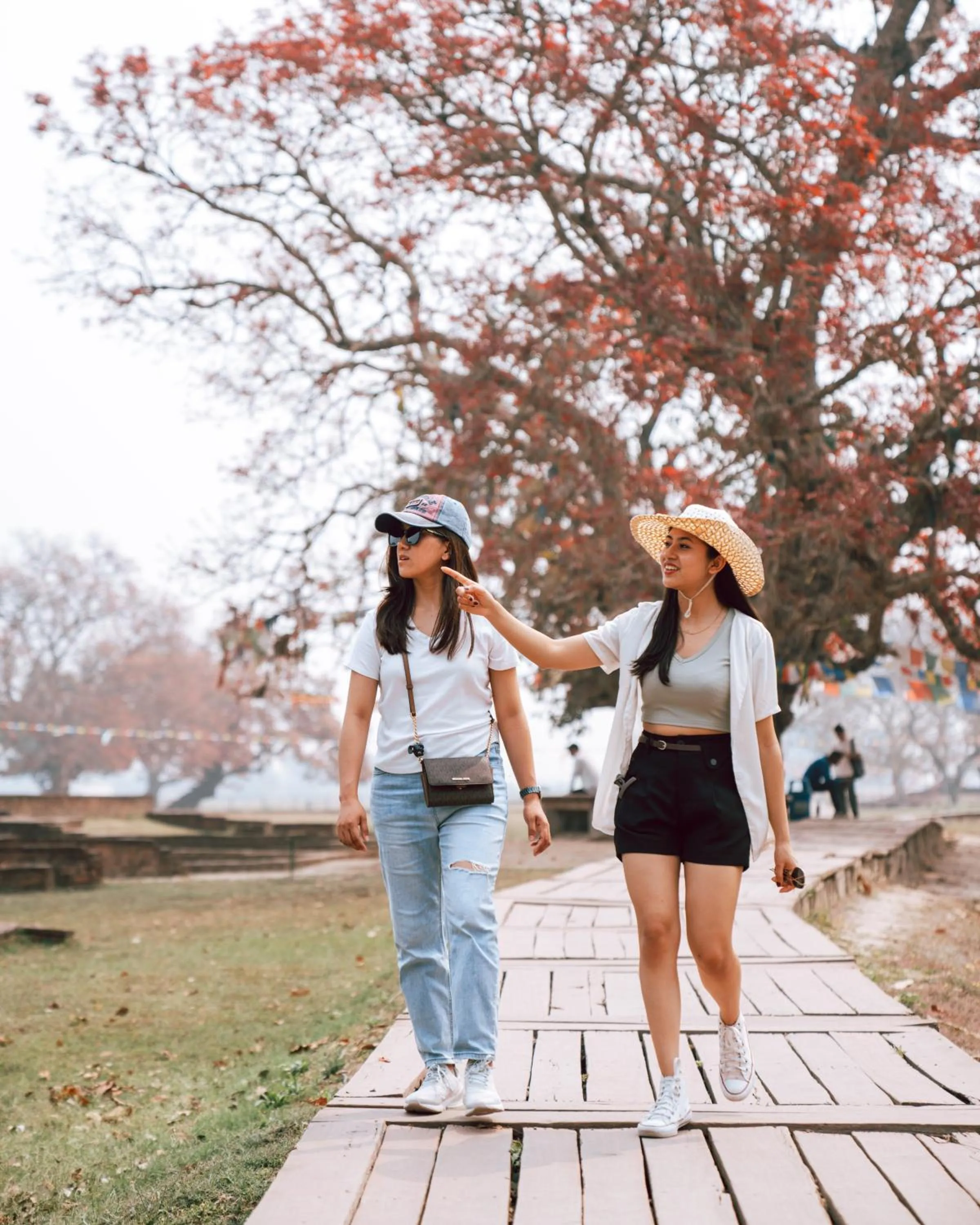 Day in Hokke Lumbini