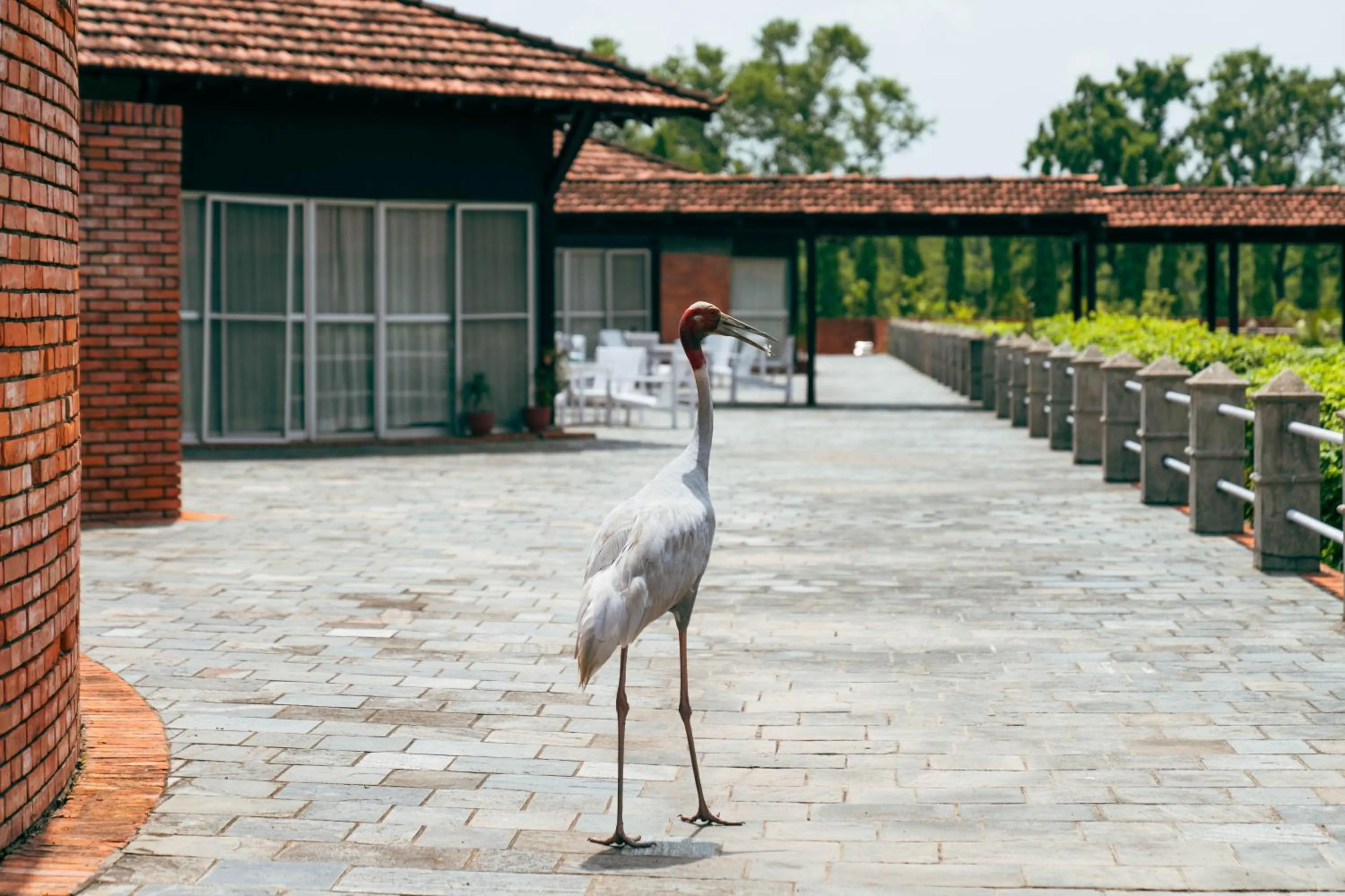 Property building in Hokke Lumbini