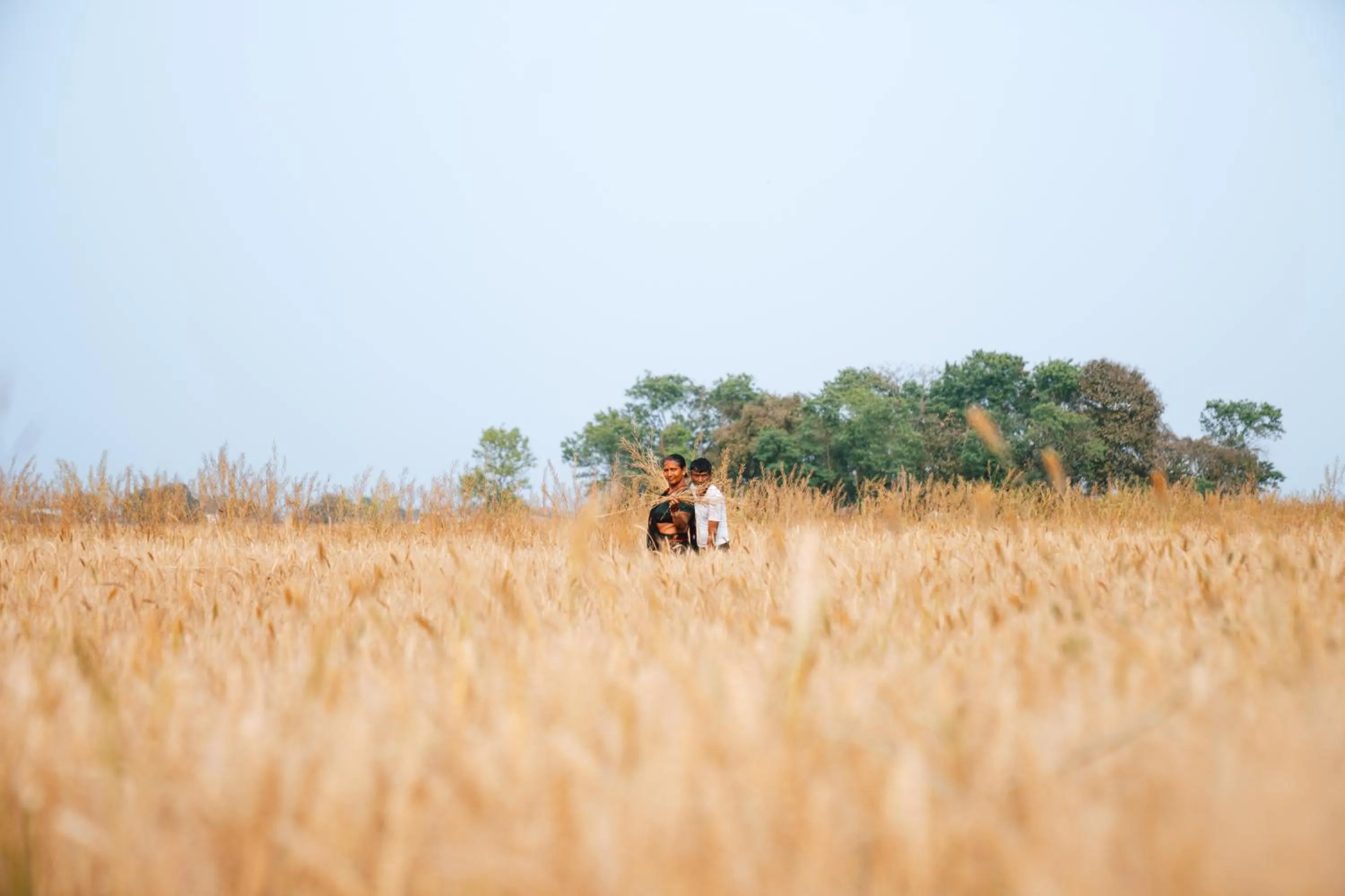 Day in Hokke Lumbini