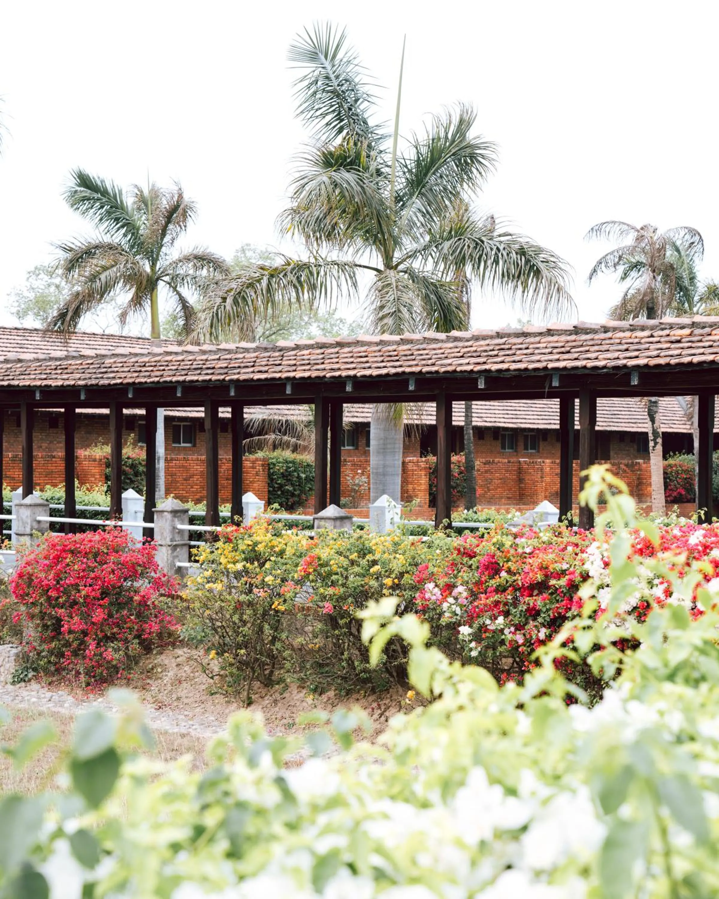 Day in Hokke Lumbini