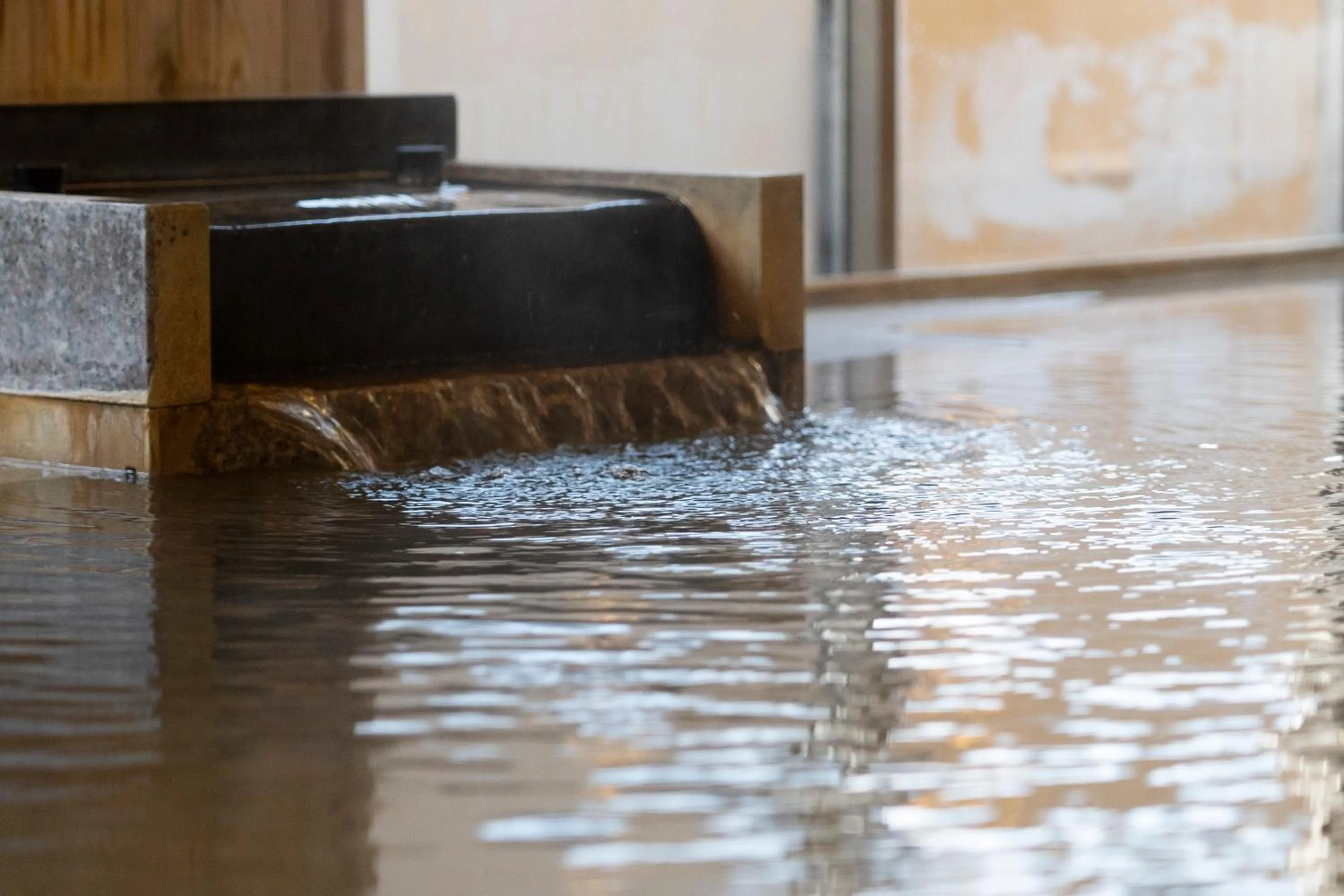 Public Bath in Hotel Monzennoyu