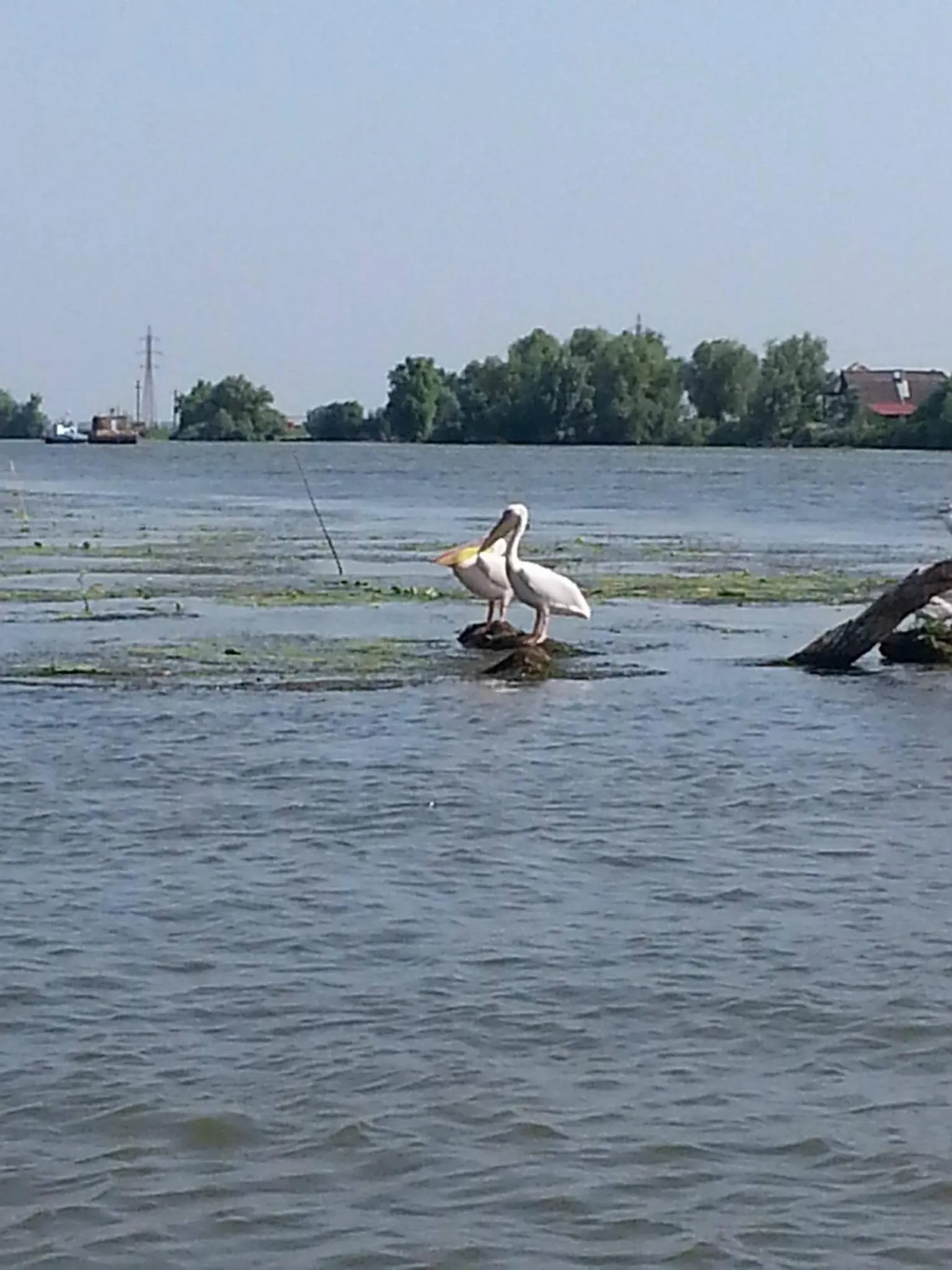 Entertainment in Hotel Select