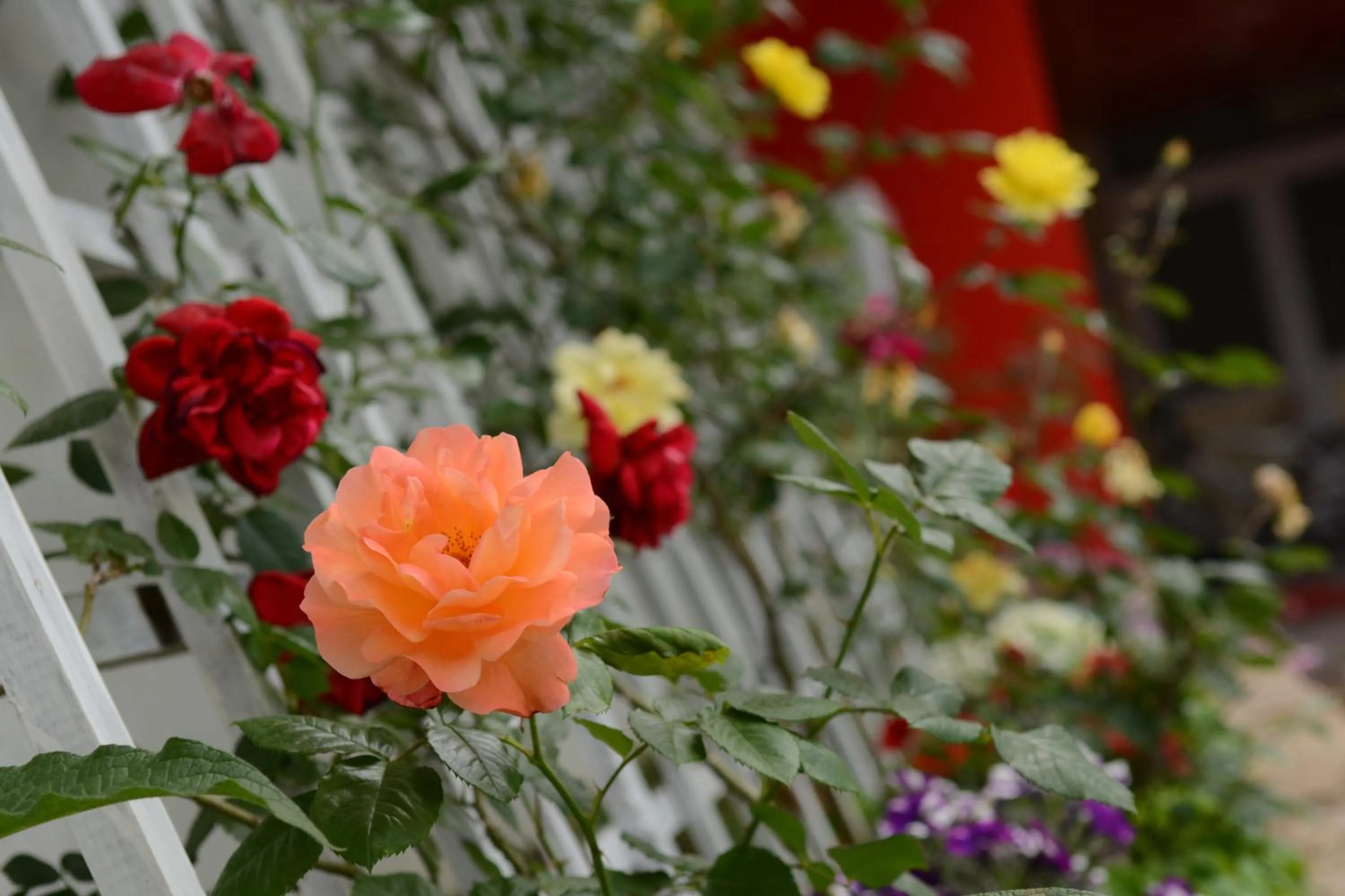 Decorative detail in Hotel Select