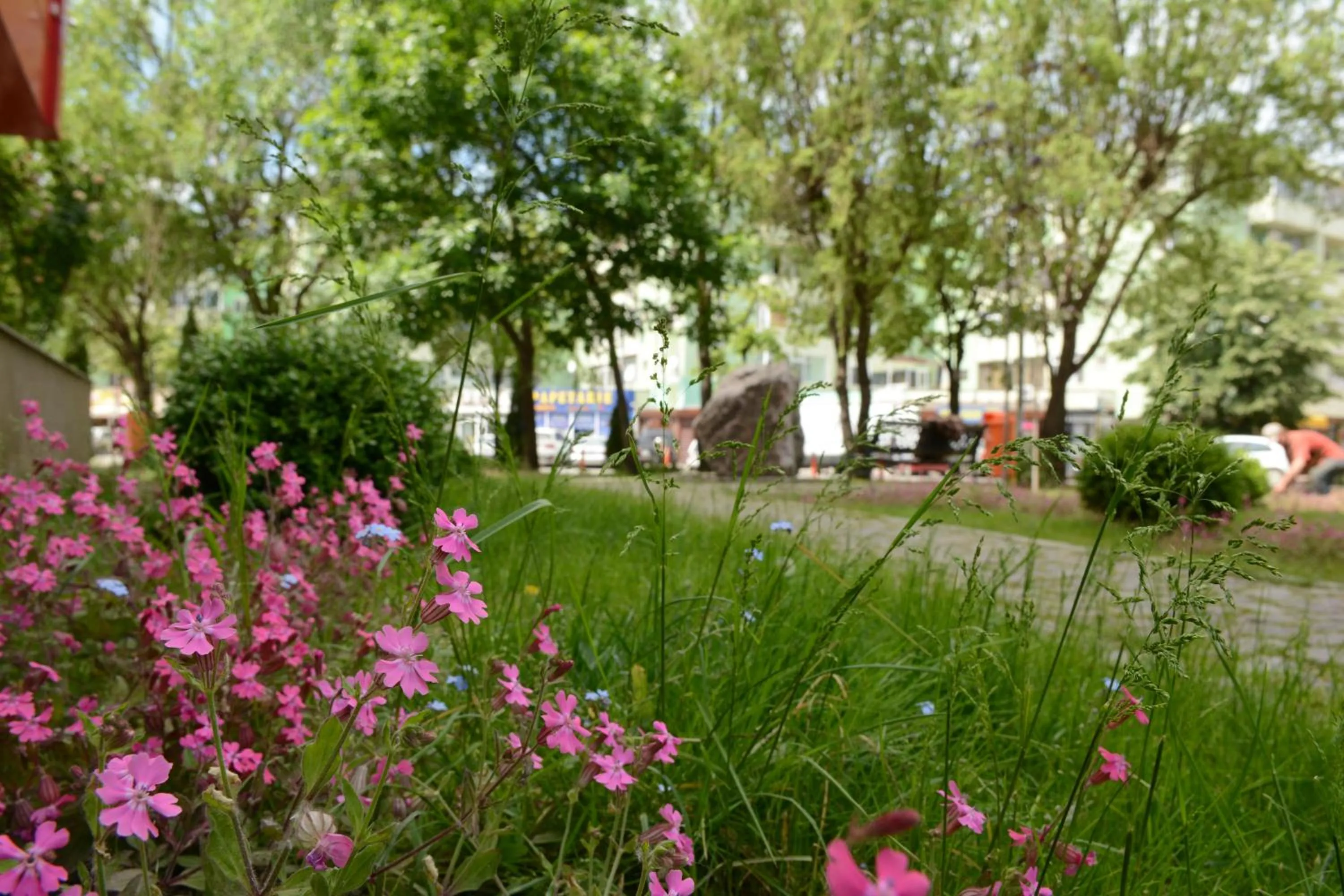 Decorative detail in Hotel Select