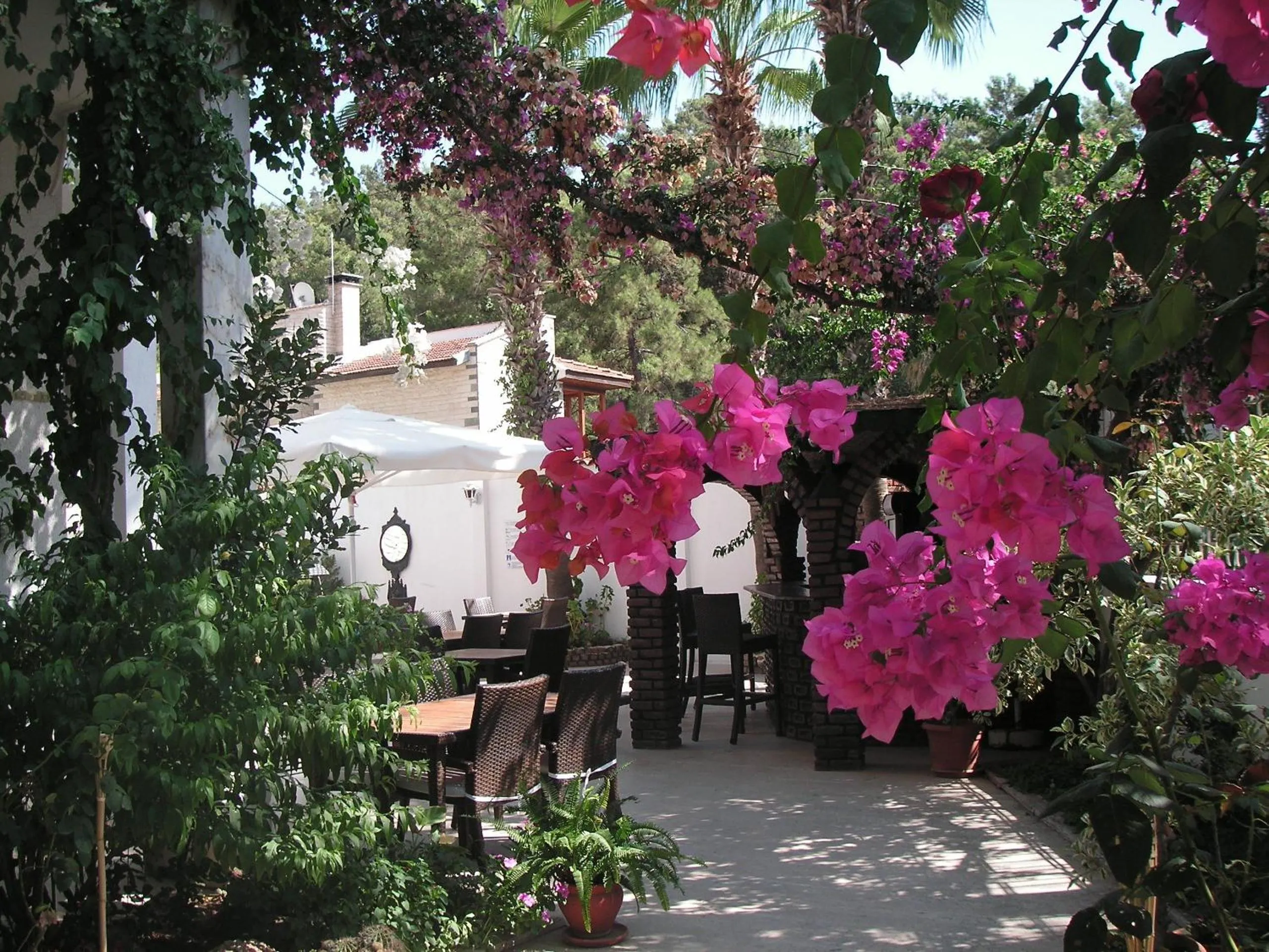 Garden in Carikci Hotel