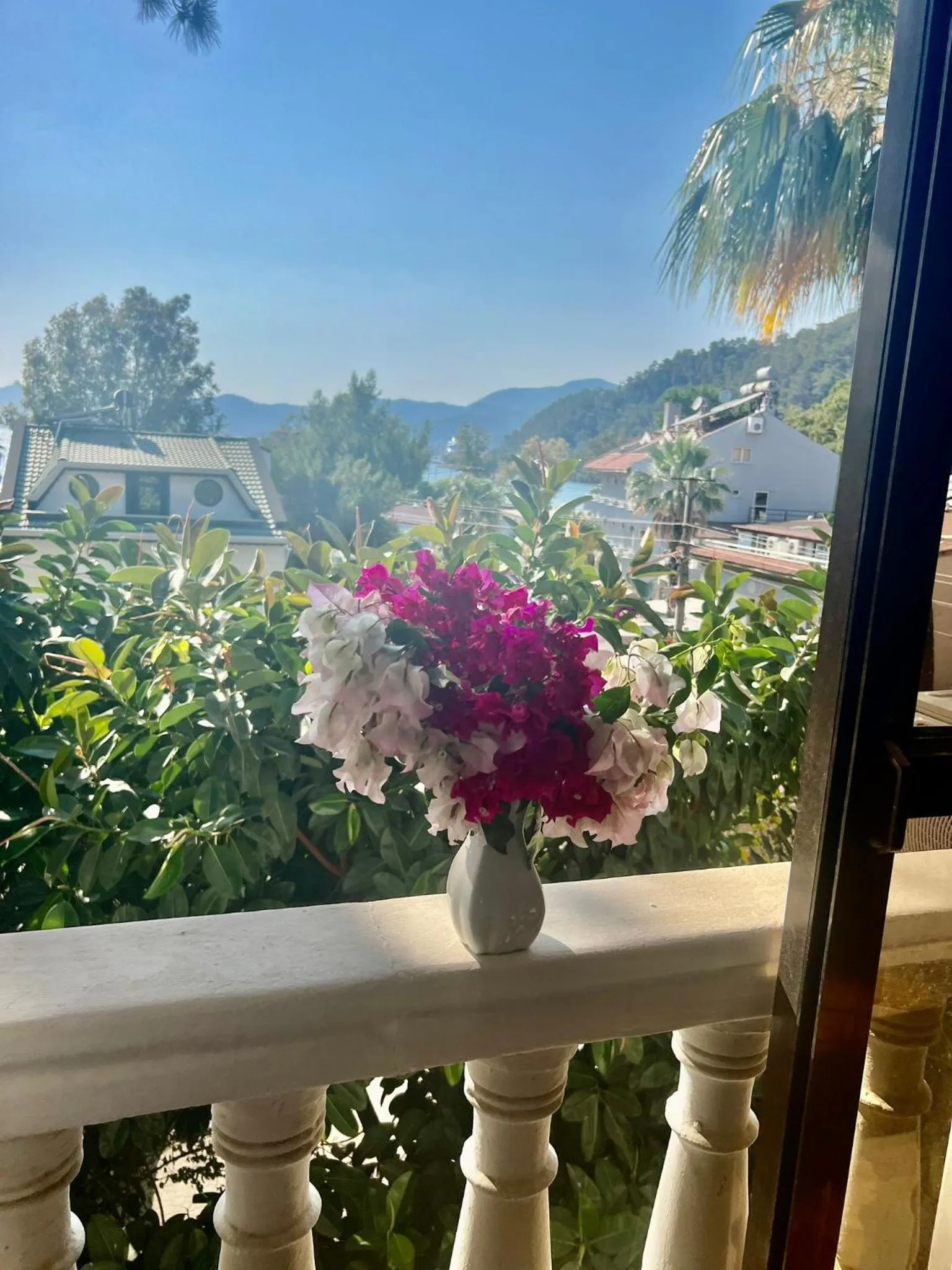 Garden view in Carikci Hotel