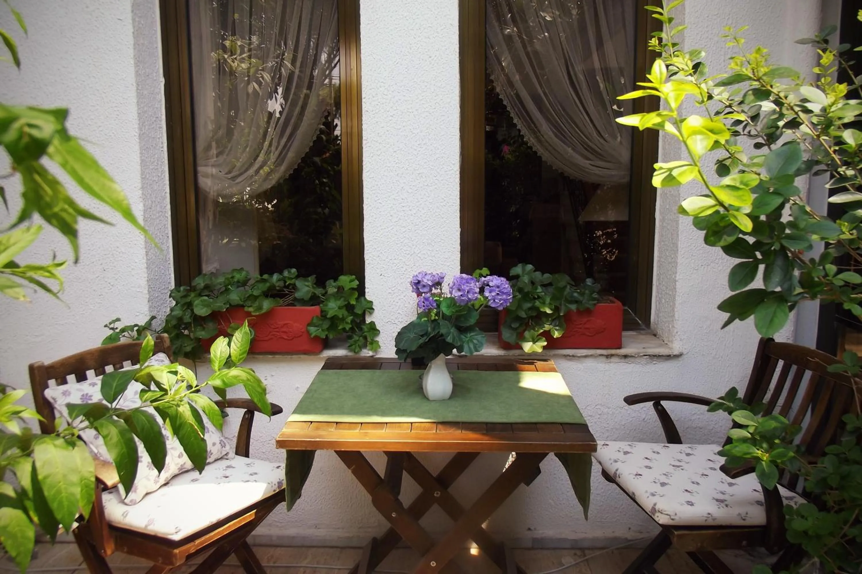 Garden in Carikci Hotel