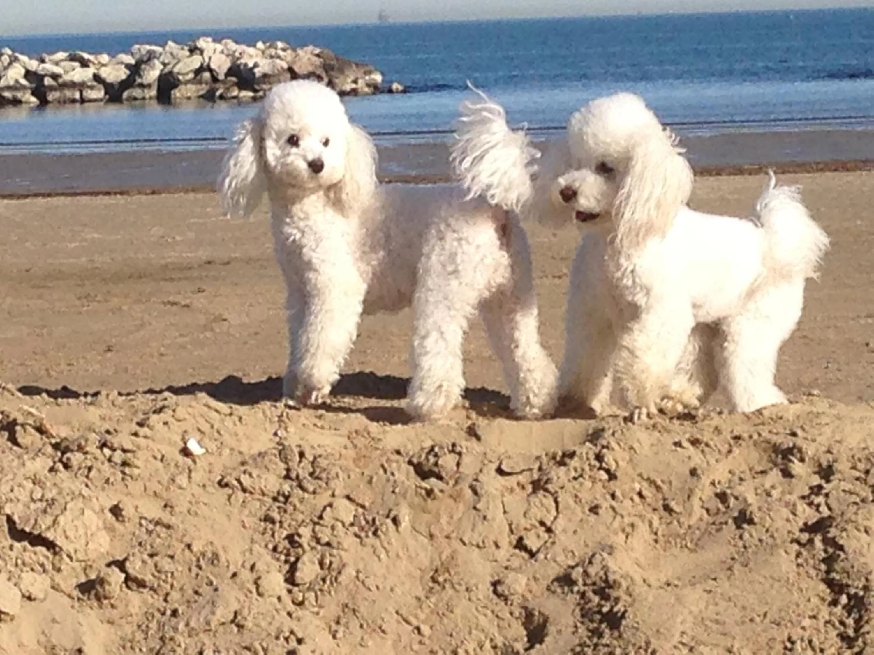 Beach in Hotel Byron