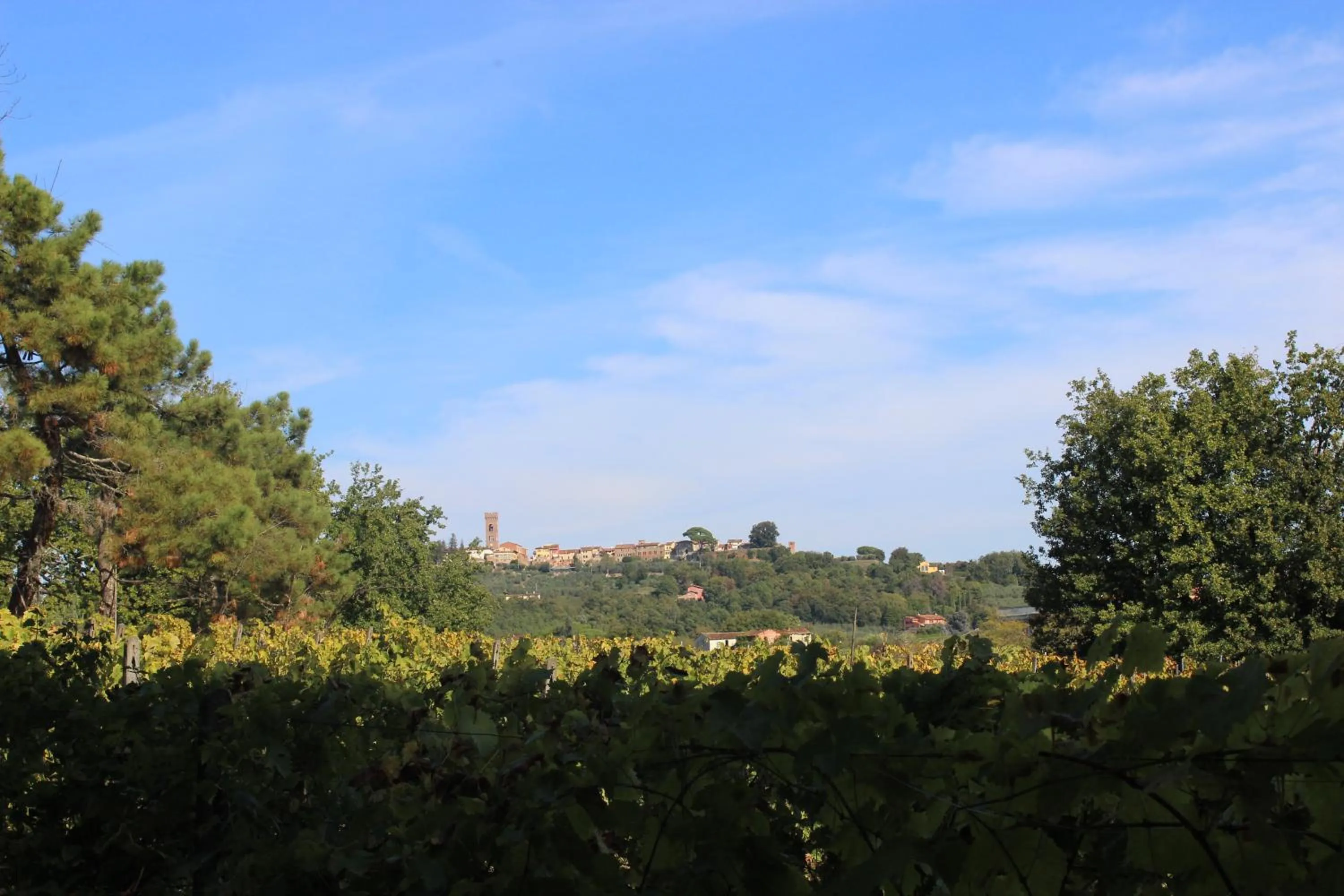 City view in Buonamico Wine Resort