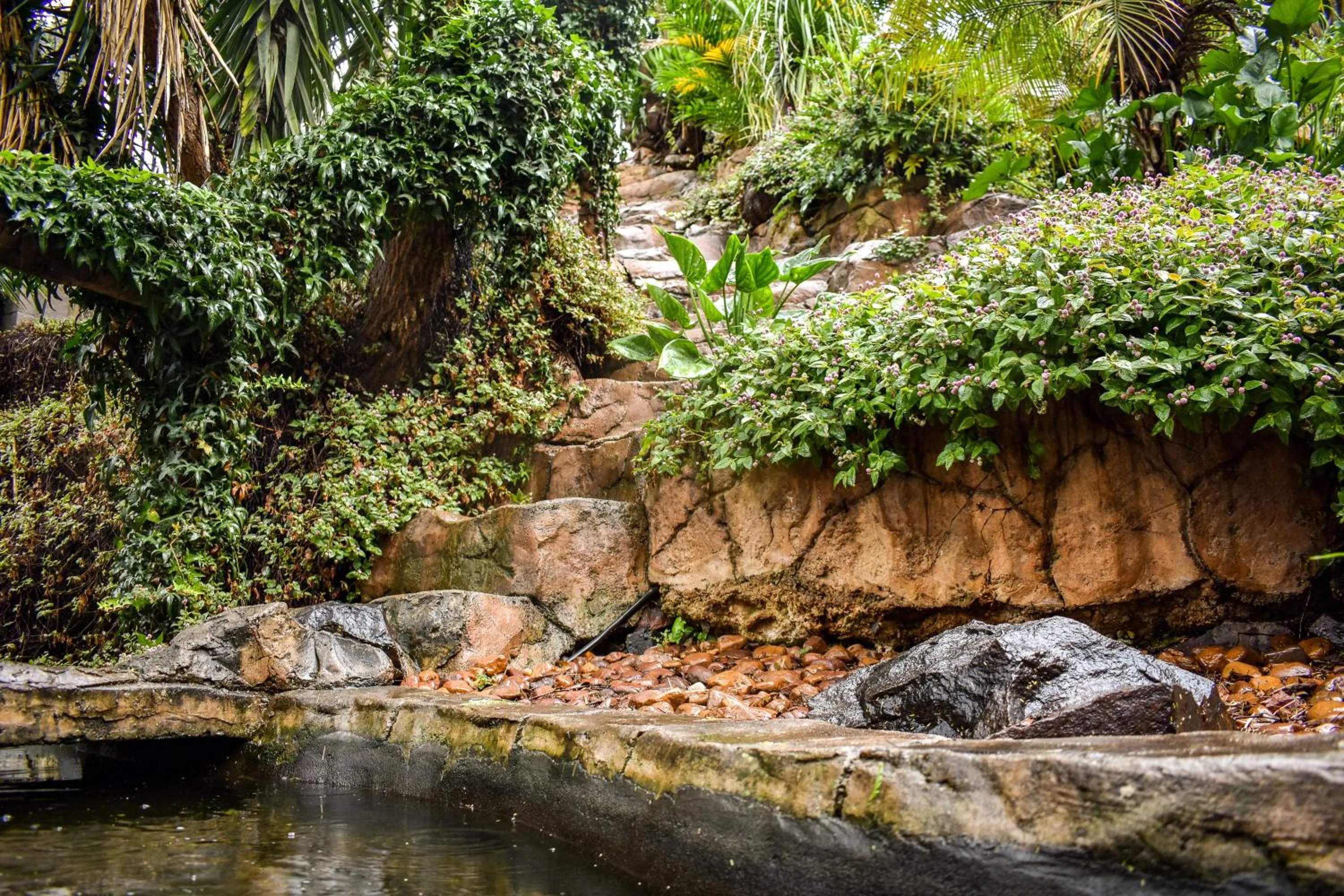 Natural landscape in Waterfalls Boutique Hotel