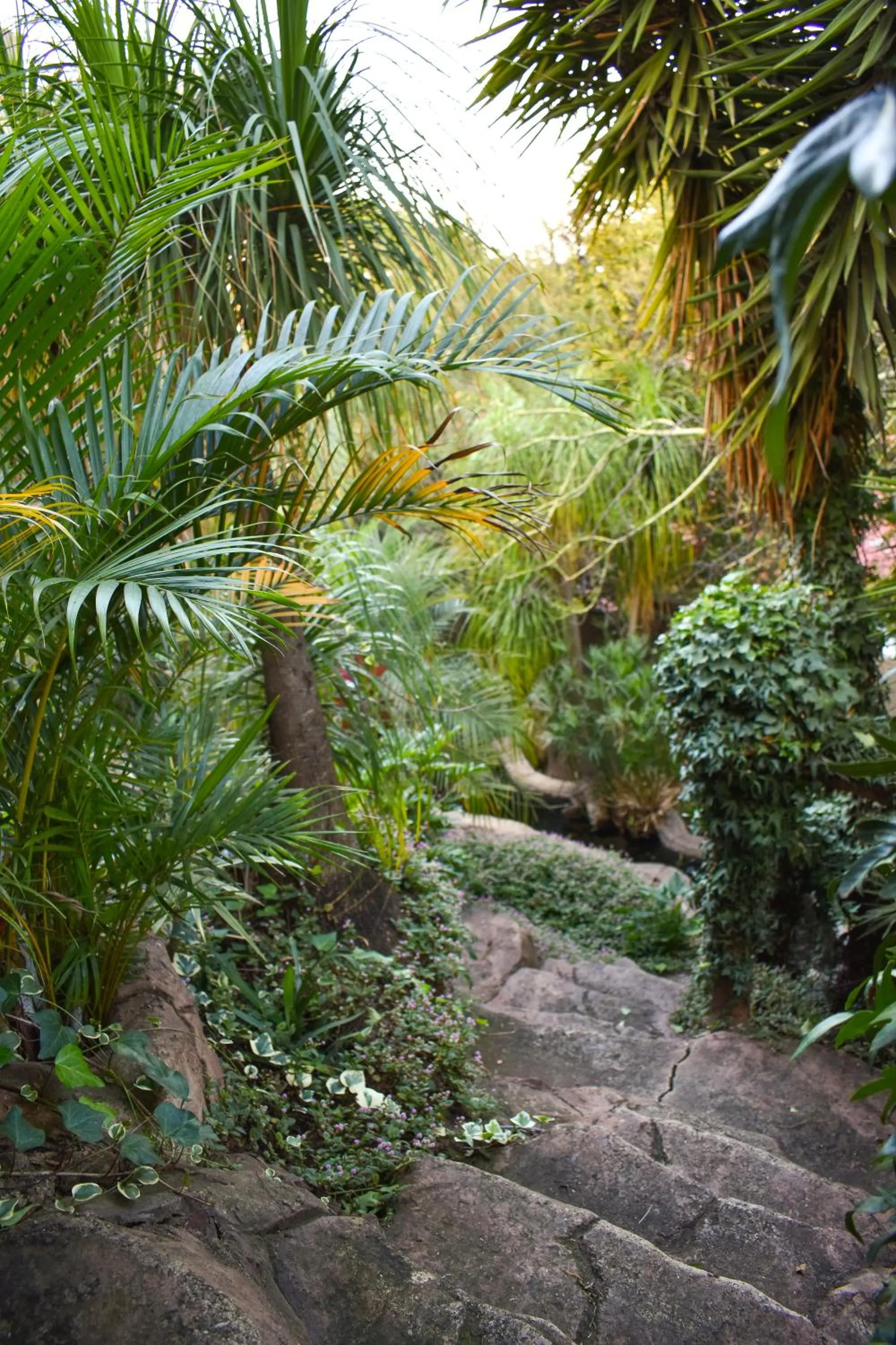 Garden in Waterfalls Boutique Hotel