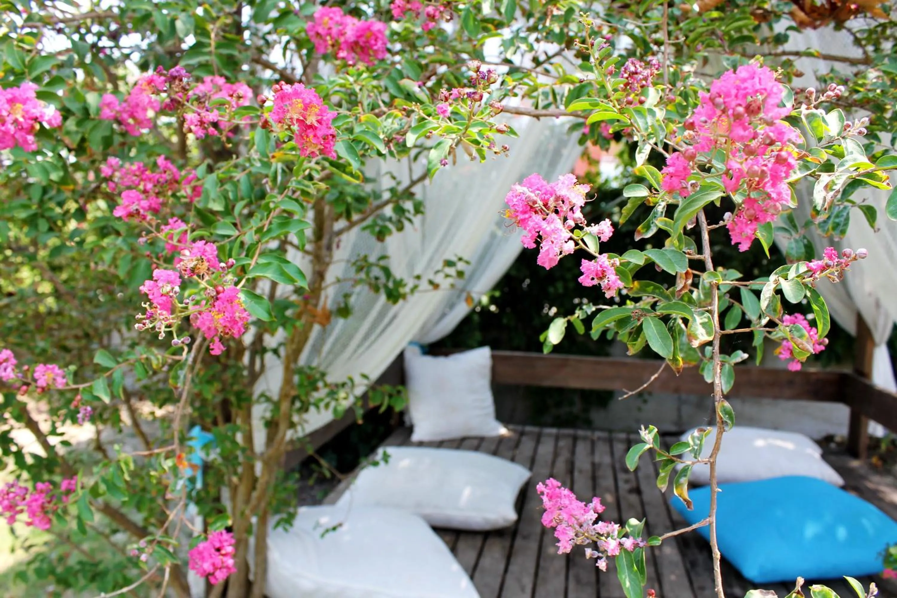 Garden in Irem Garden Hotel & Apartments