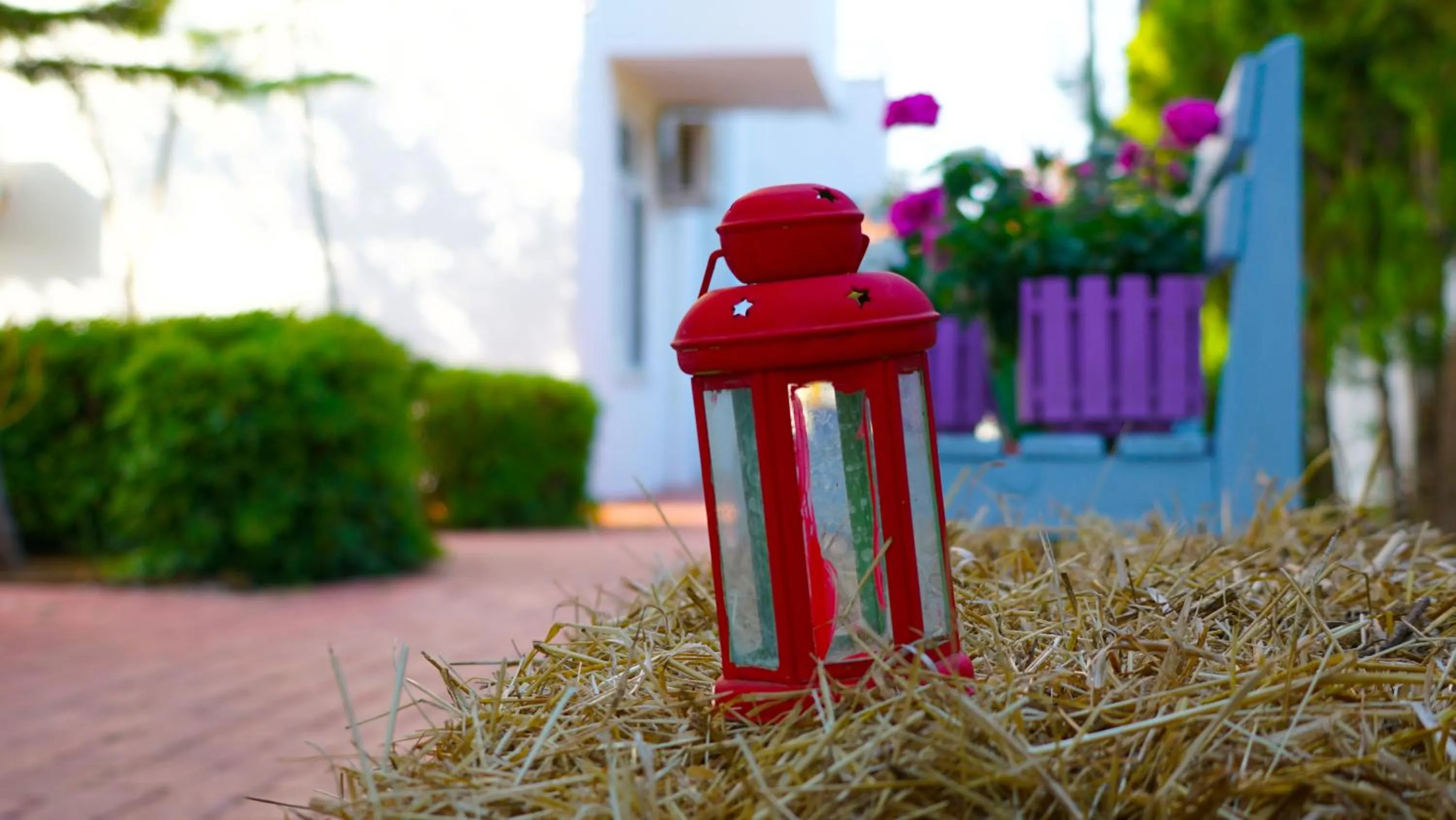 Garden in Irem Garden Hotel & Apartments