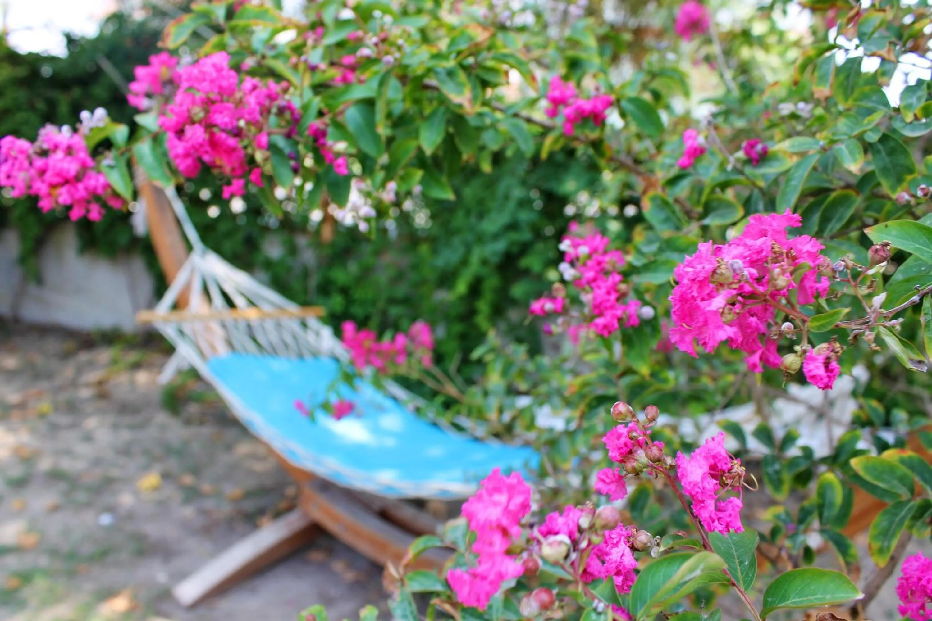 Garden in Irem Garden Hotel & Apartments