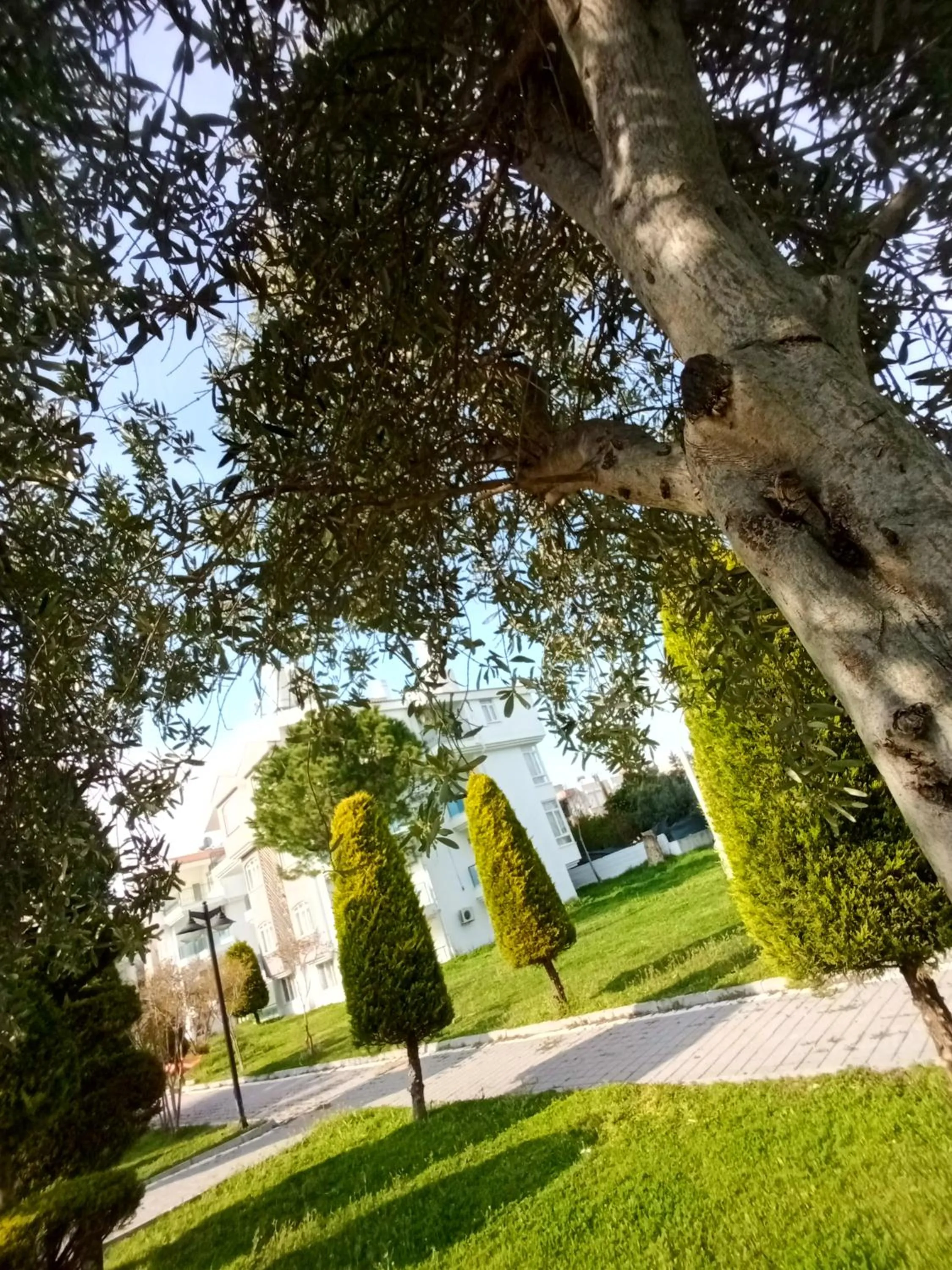 Garden in Irem Garden Hotel & Apartments