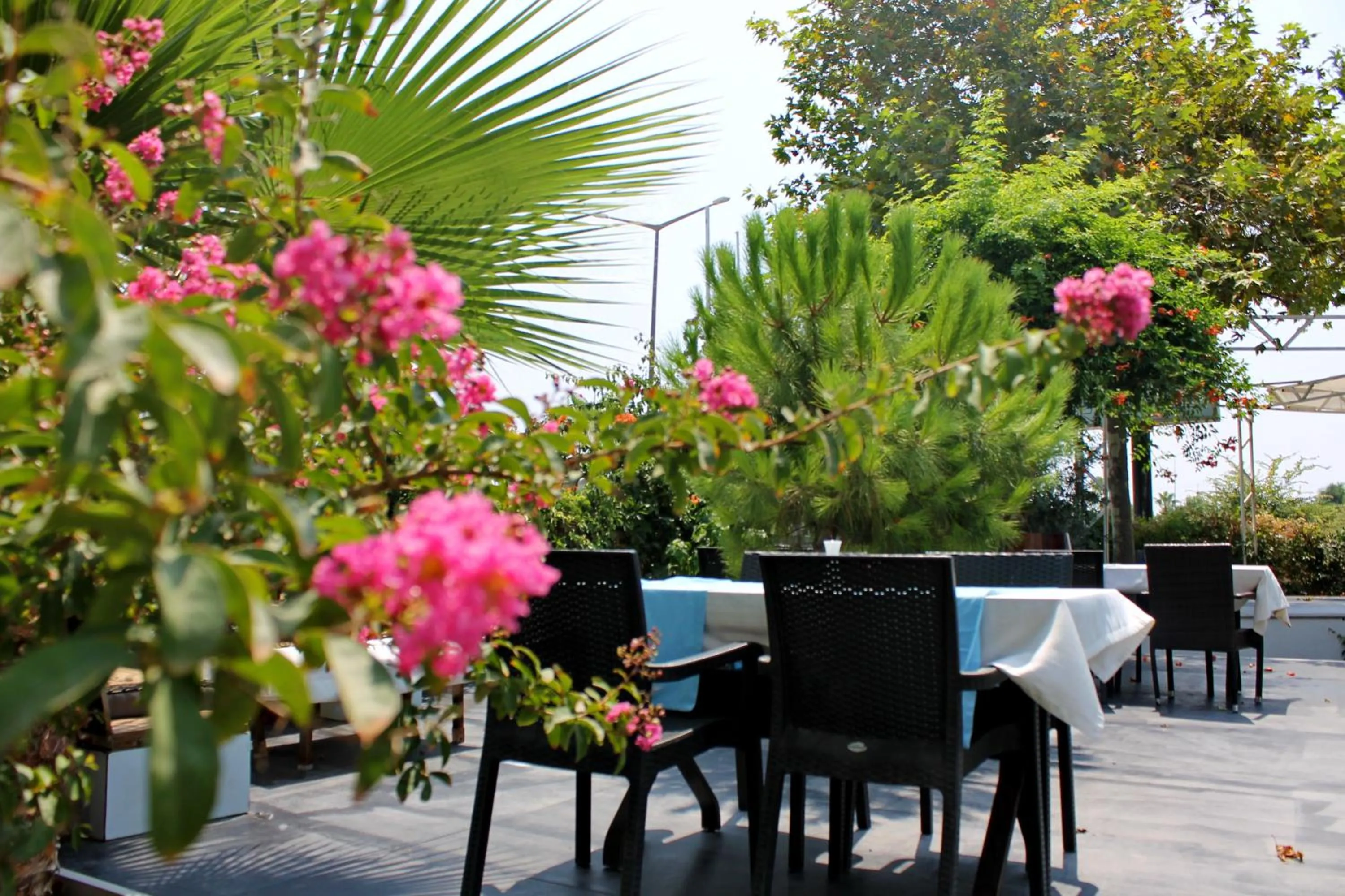 Garden in Irem Garden Hotel & Apartments