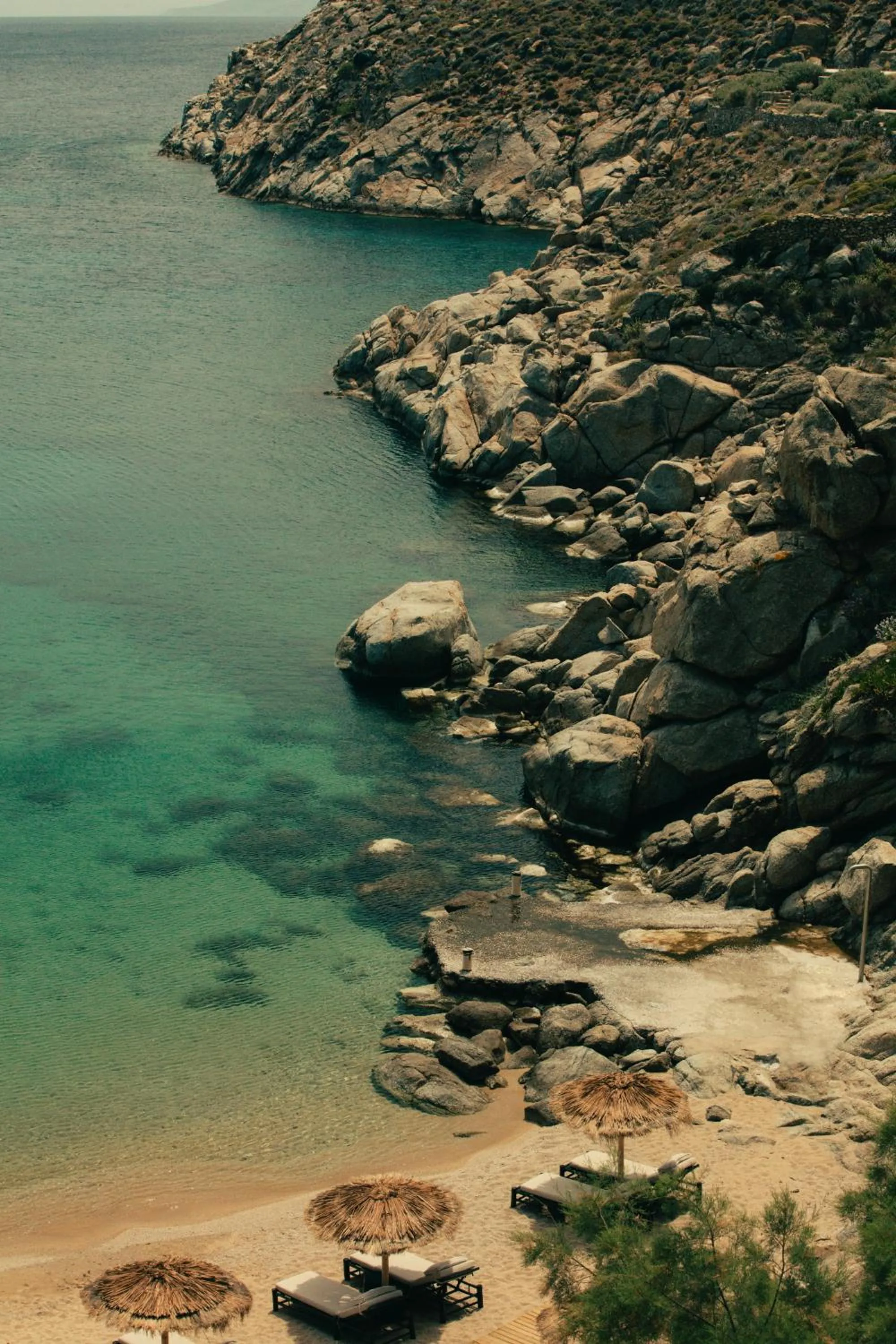 Beach in The Wild by Interni