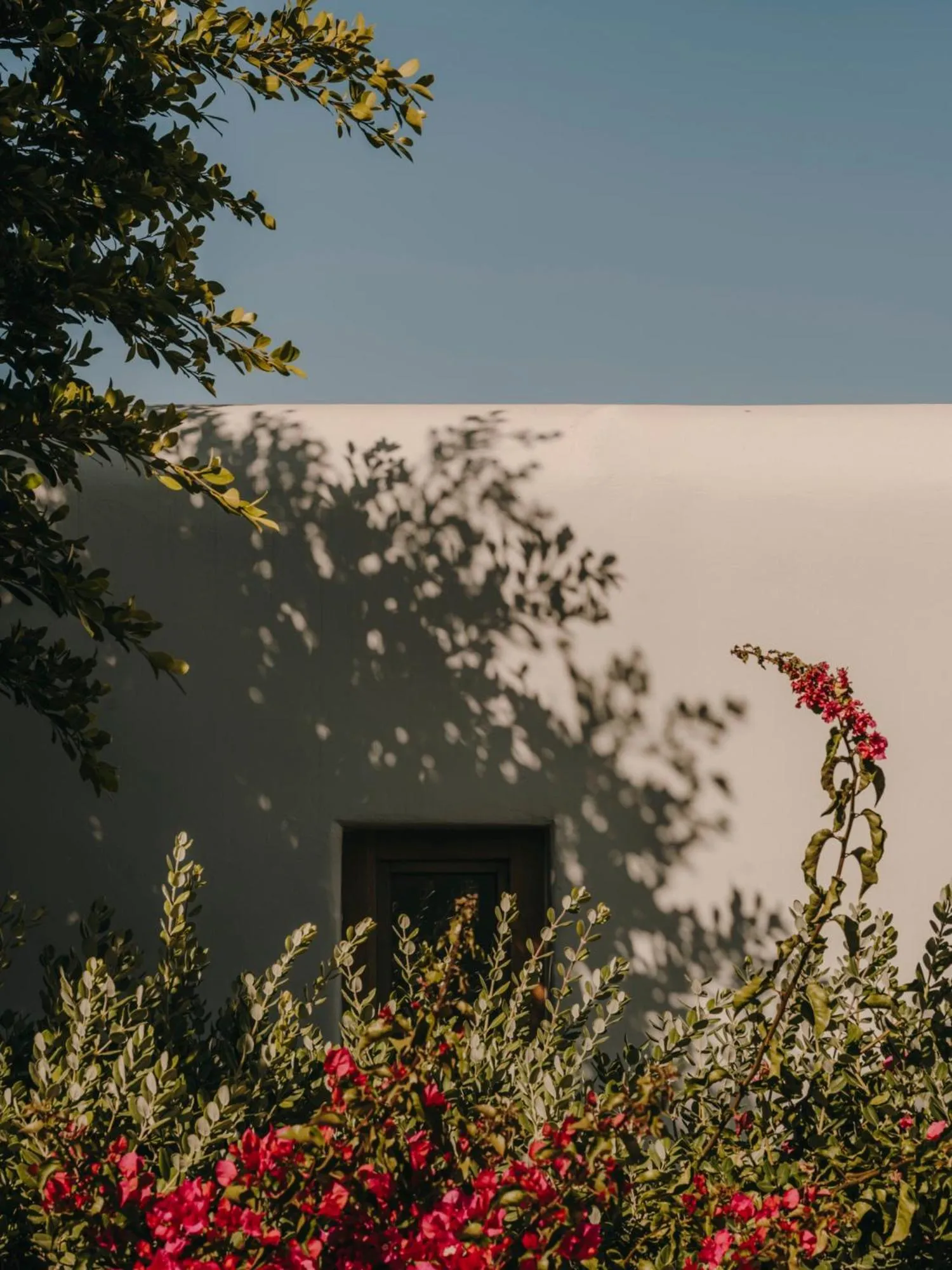 Day in The Wild by Interni