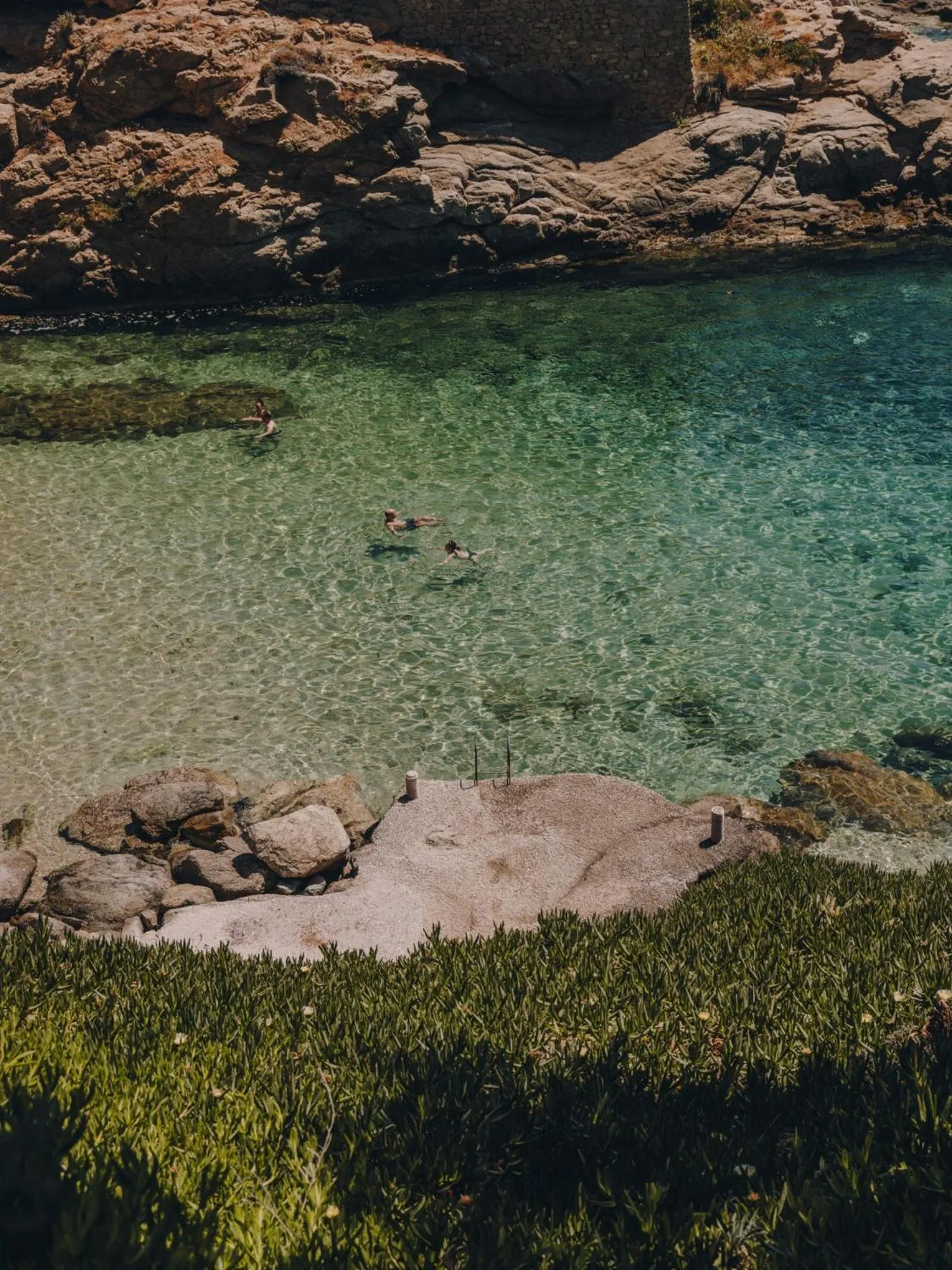 Day in The Wild by Interni