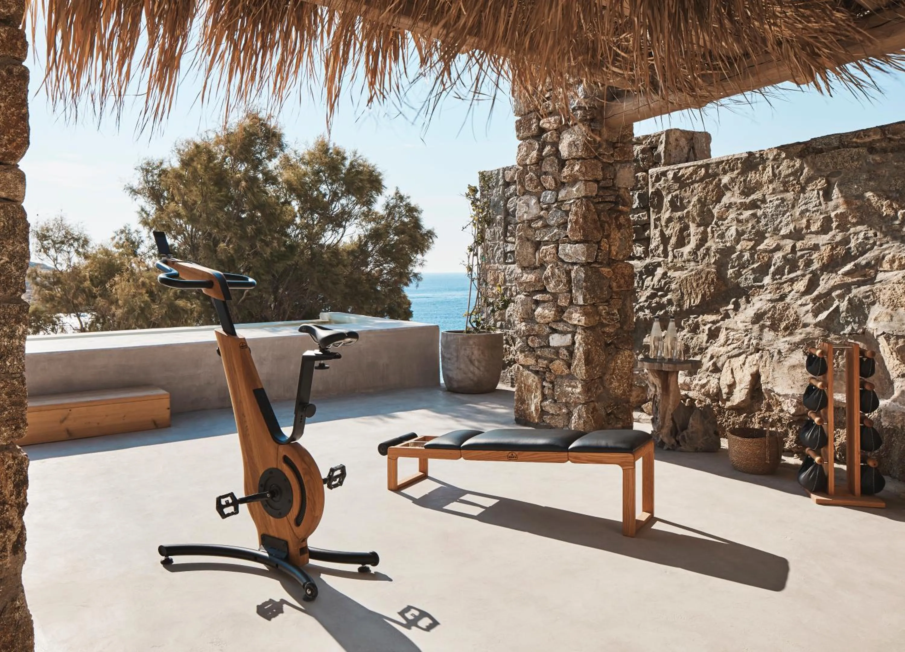 Fitness centre/facilities in The Wild by Interni