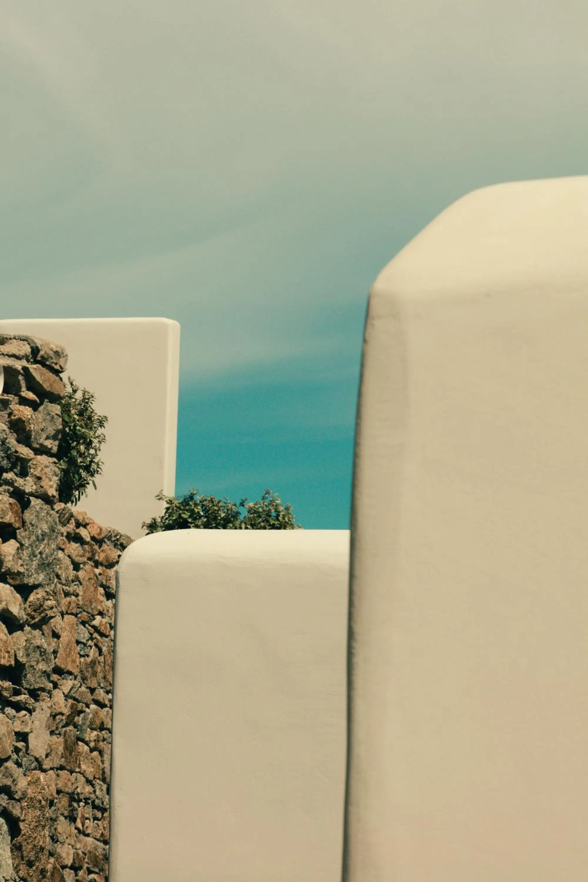 Day in The Wild by Interni