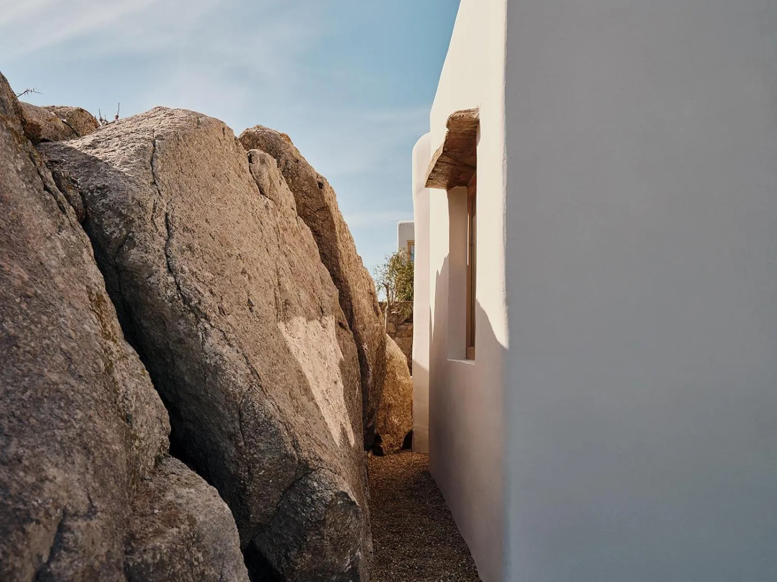 Day in The Wild by Interni