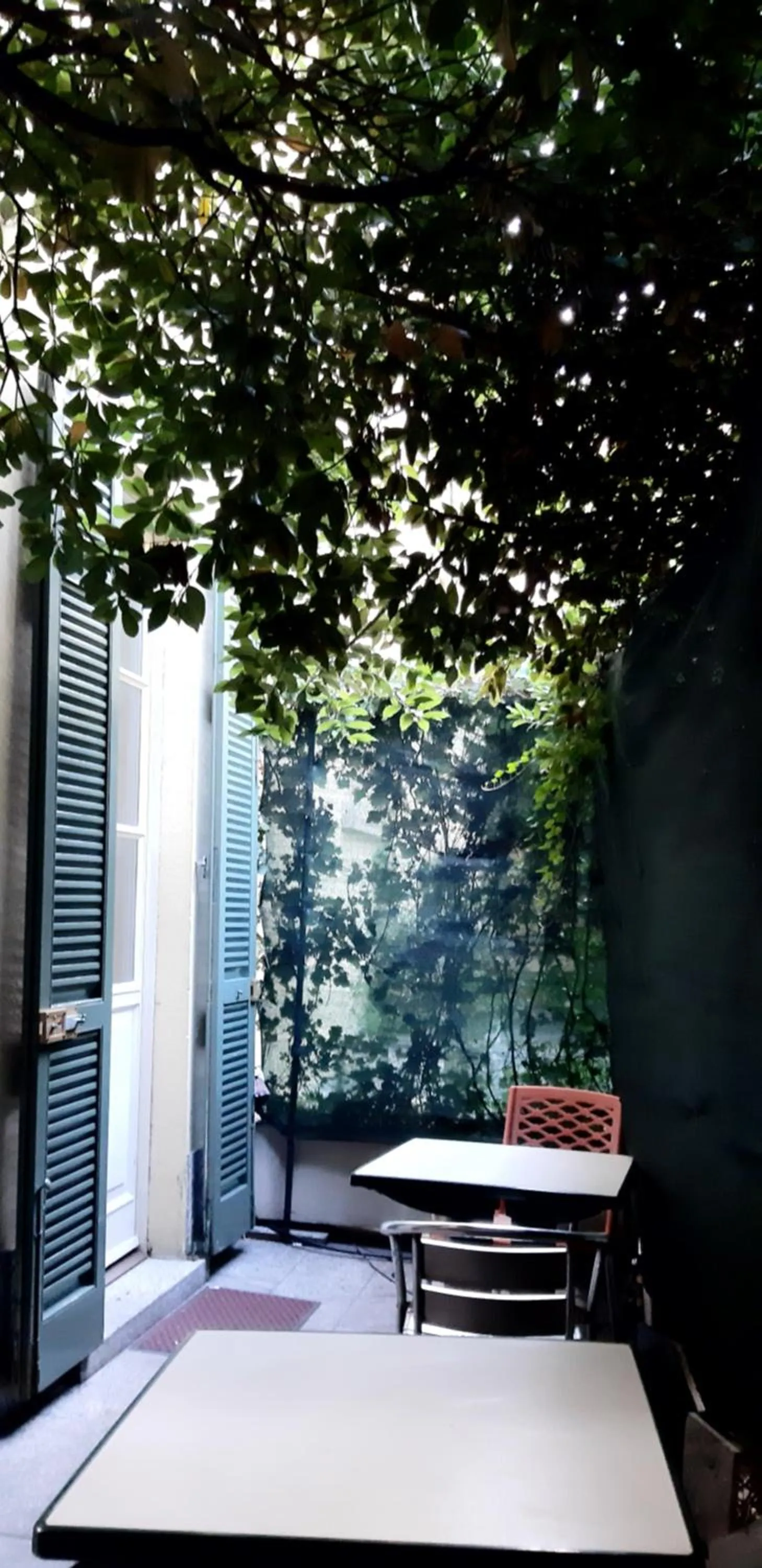 Garden view in Hotel Marco's