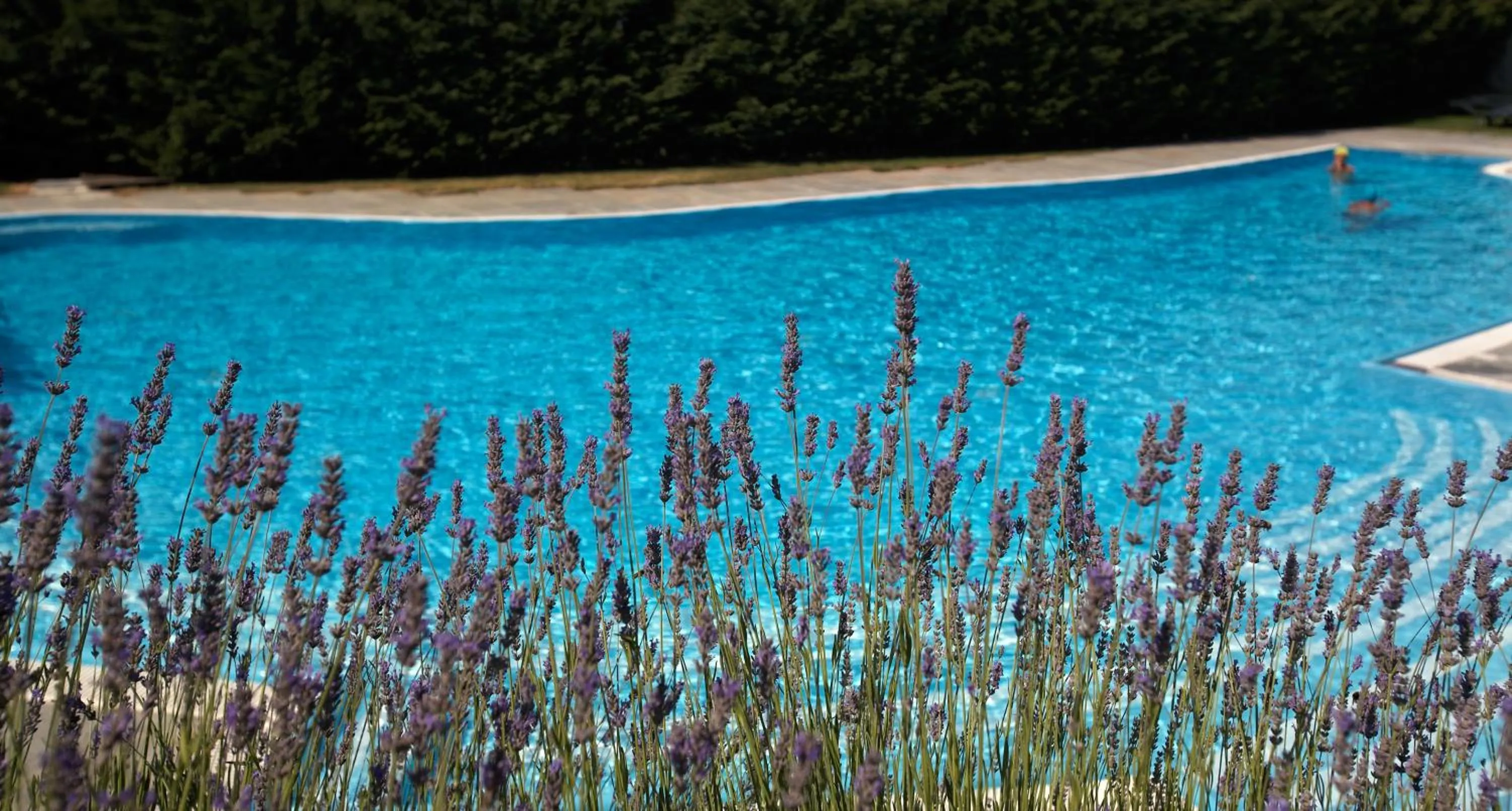 Swimming pool in Hotel Milleluci