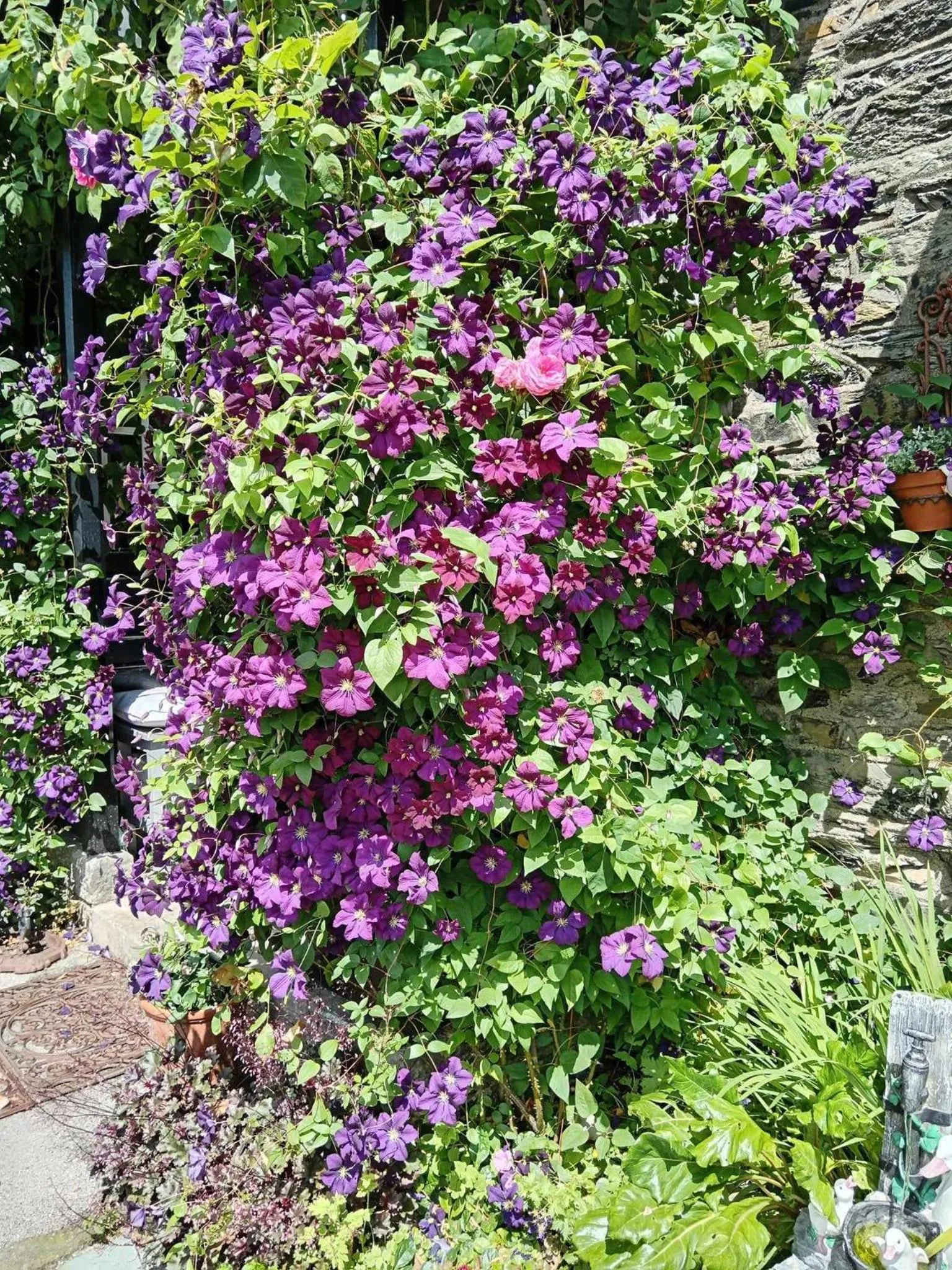 Other in Puddle Duck Lodge – Adults Only