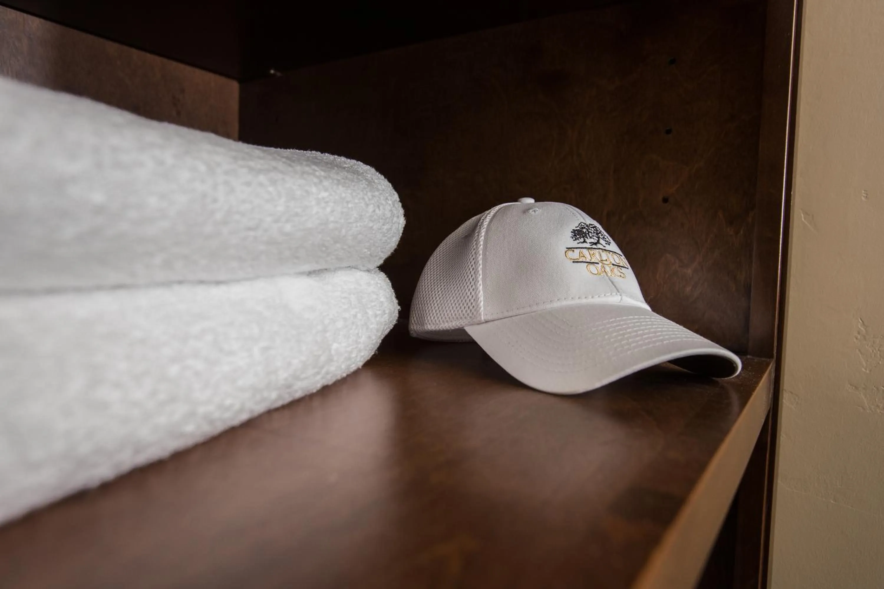 Property logo or sign in Carlton Oaks Lodge, an Ascend Collection Hotel