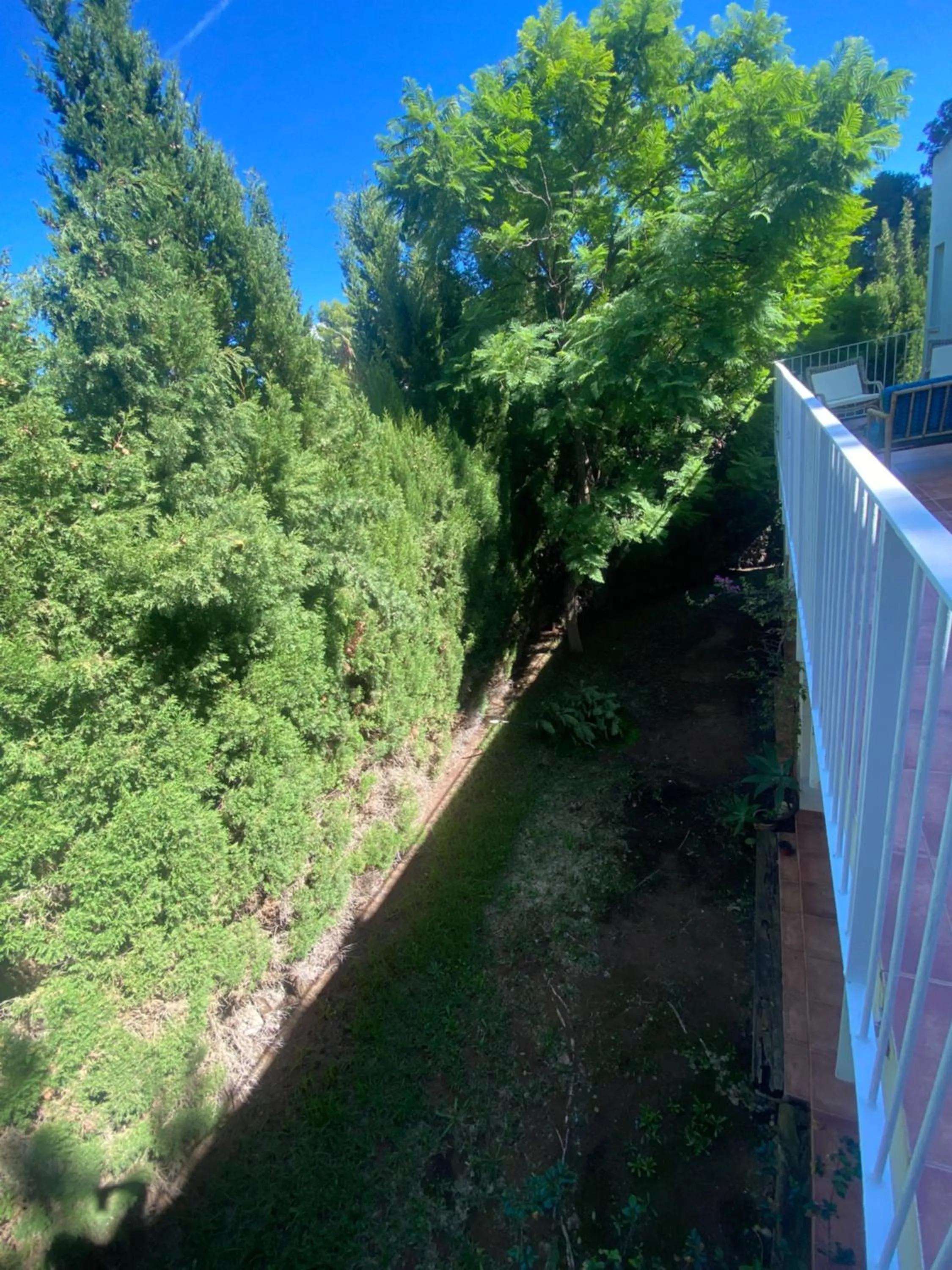 Off site in Travel Habitat Benicassim