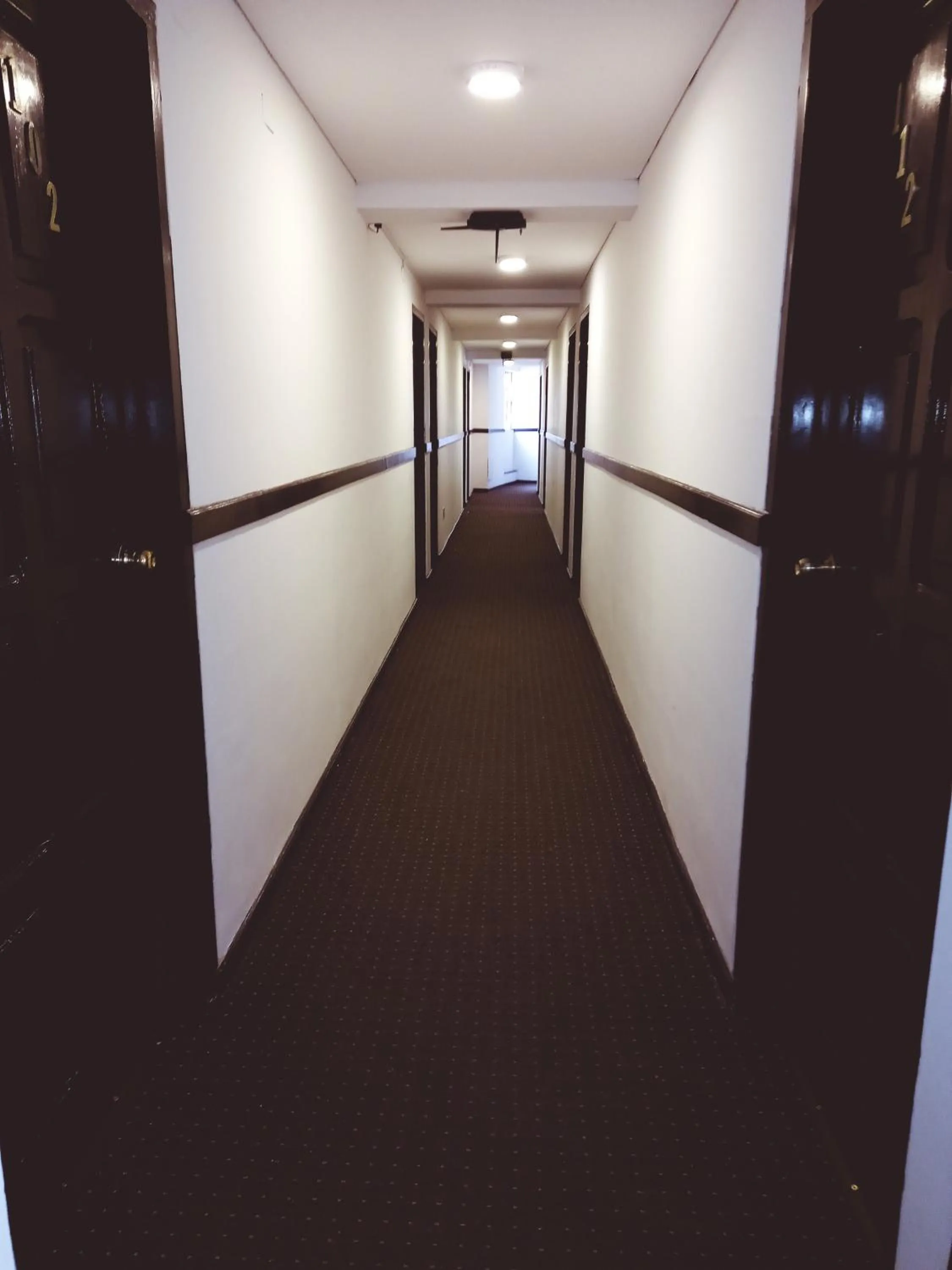 Area and facilities in Hotel Sagarnaga