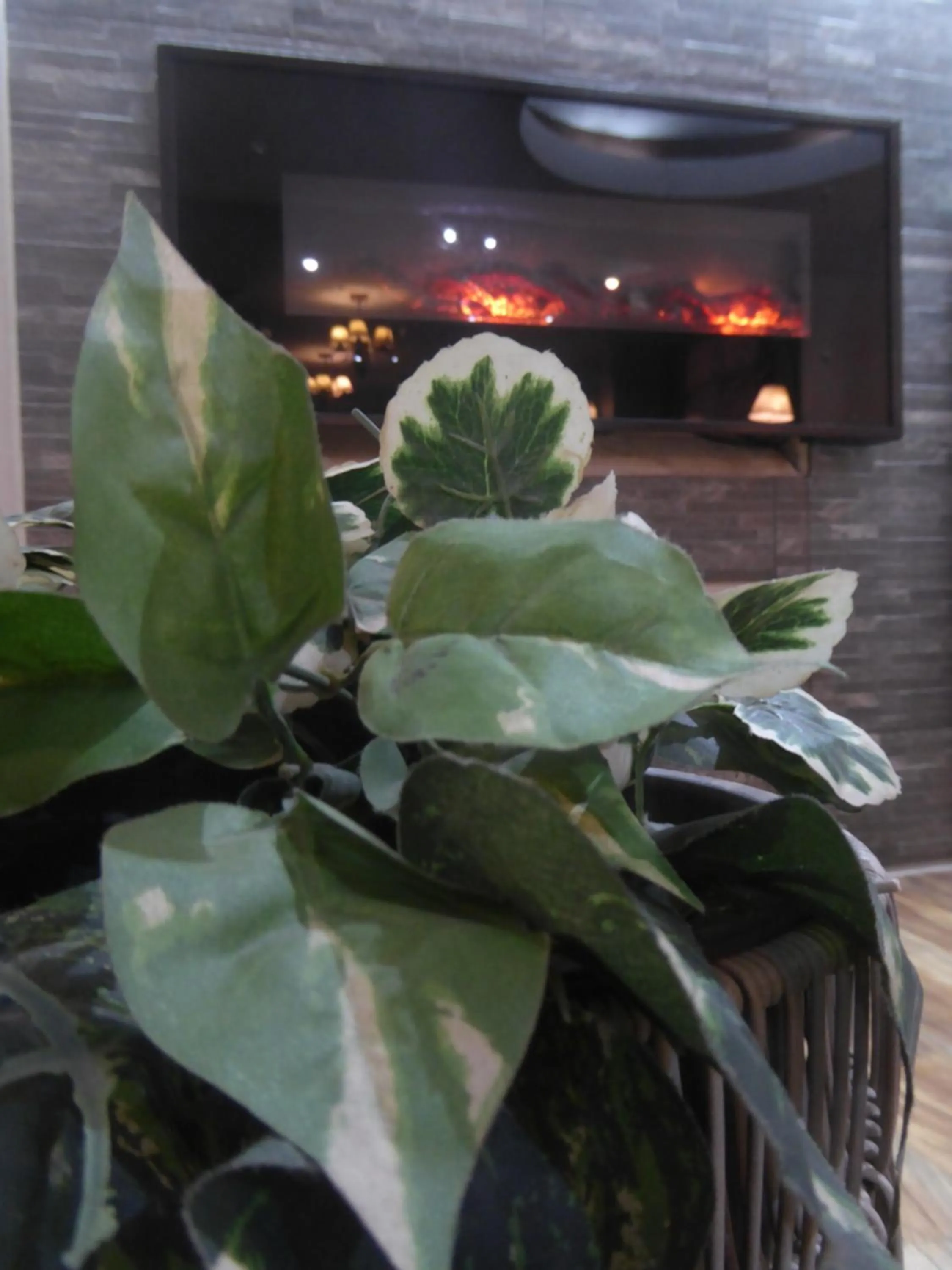 Decorative detail in Hotel Sagarnaga