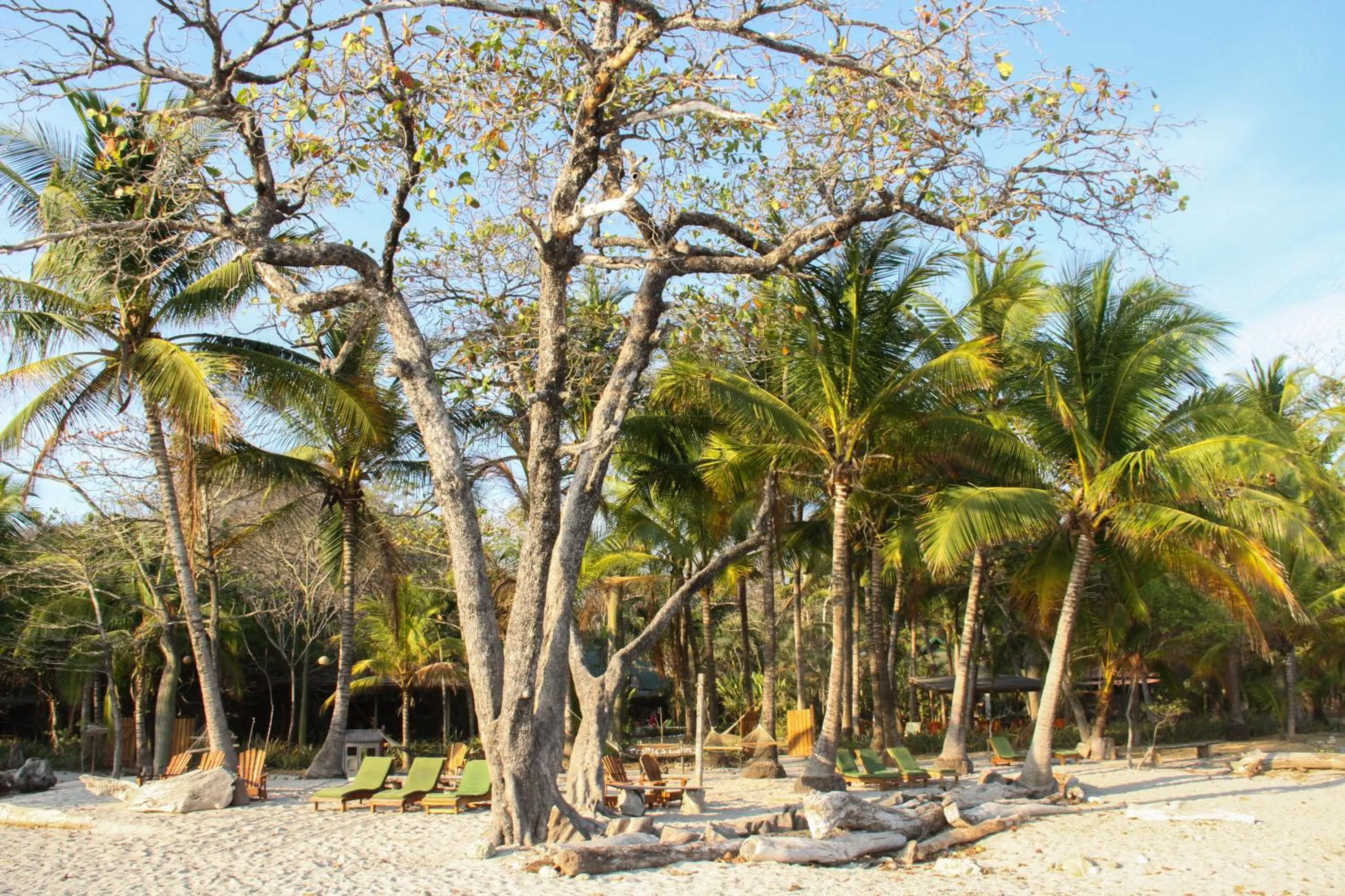 Other in Hotel Tropico Latino