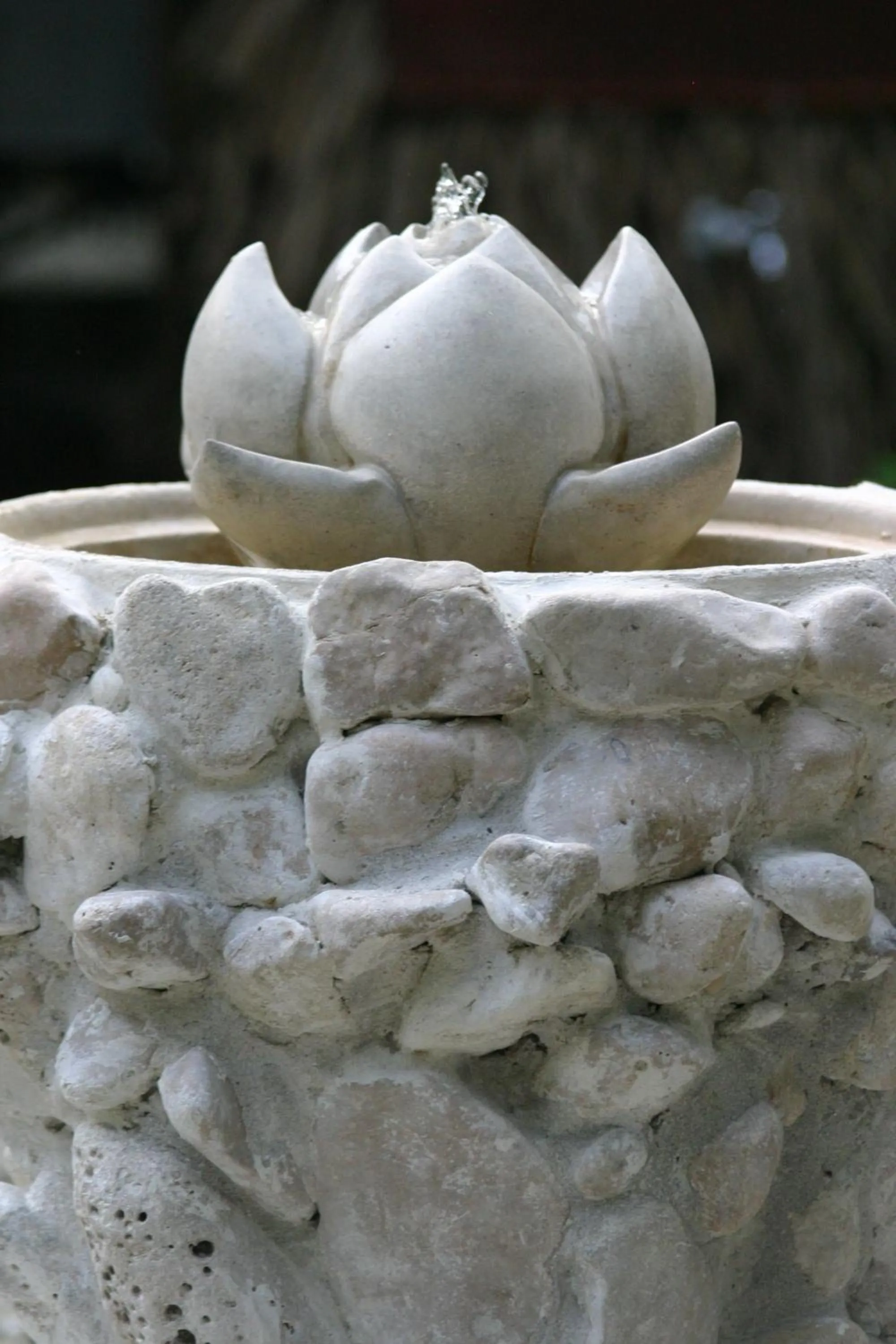 Decorative detail in Hotel Tropico Latino