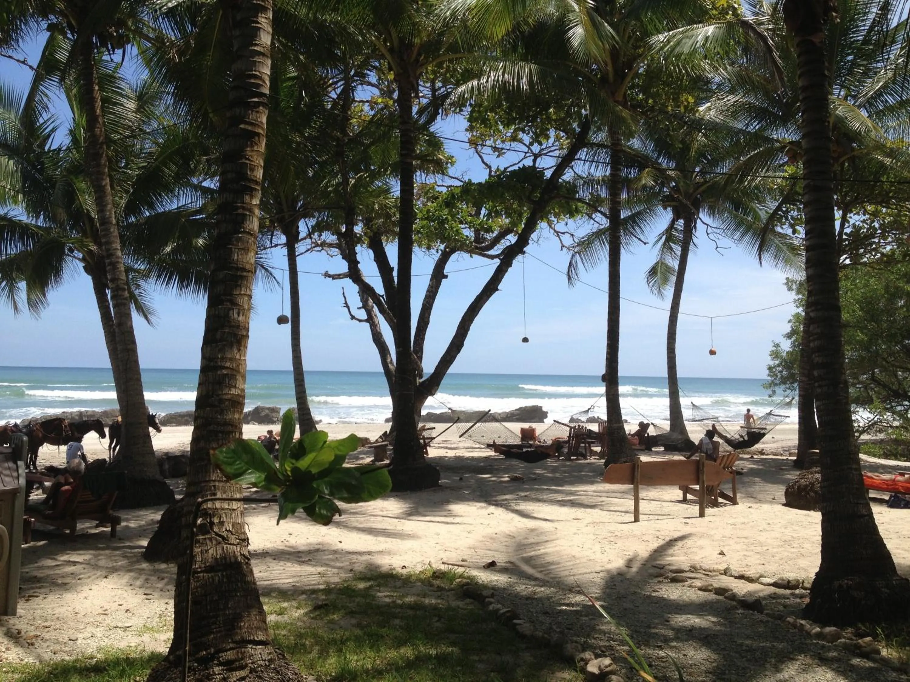 Beach in Hotel Tropico Latino