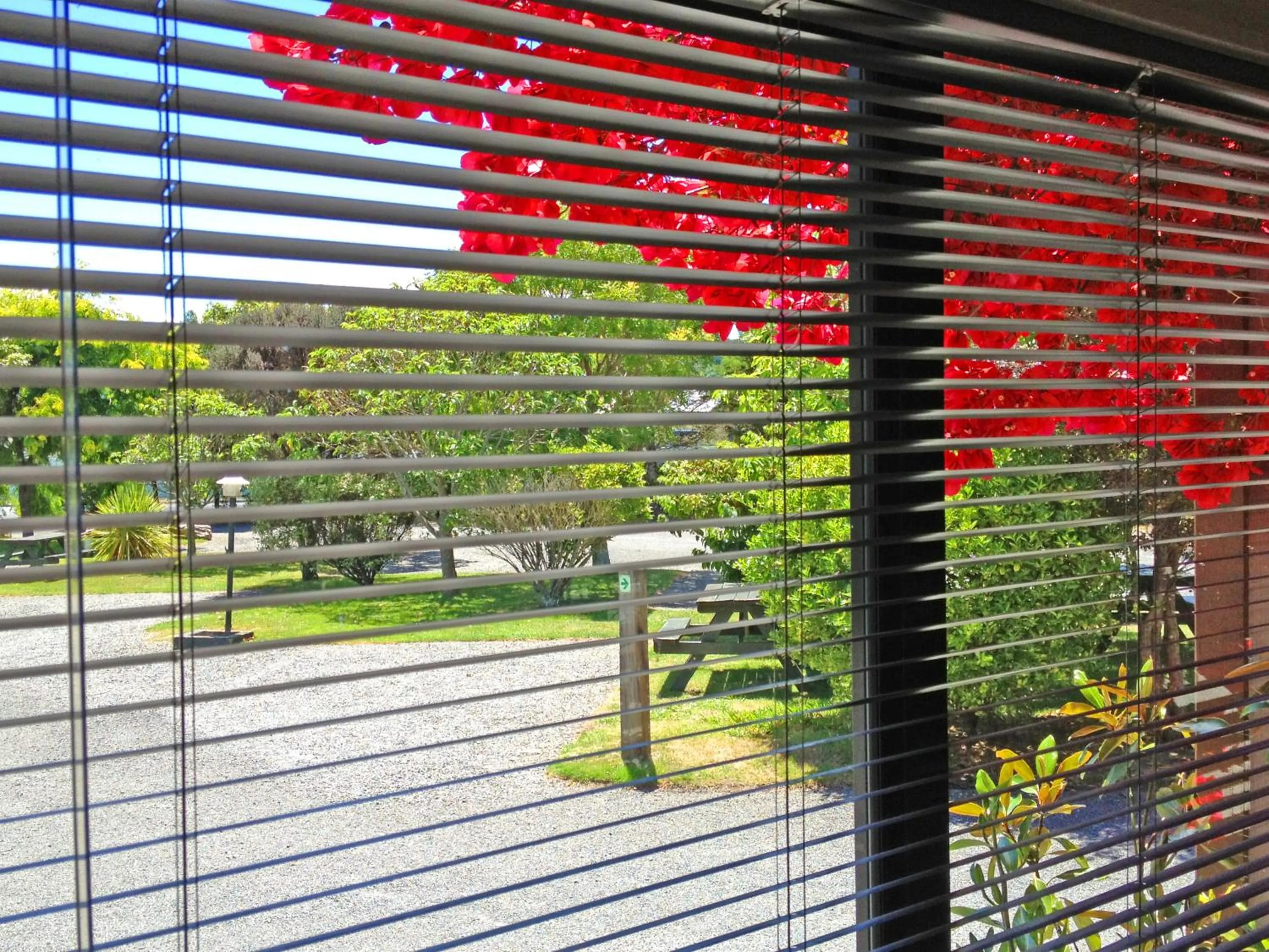 View (from property/room) in Picton Campervan Park