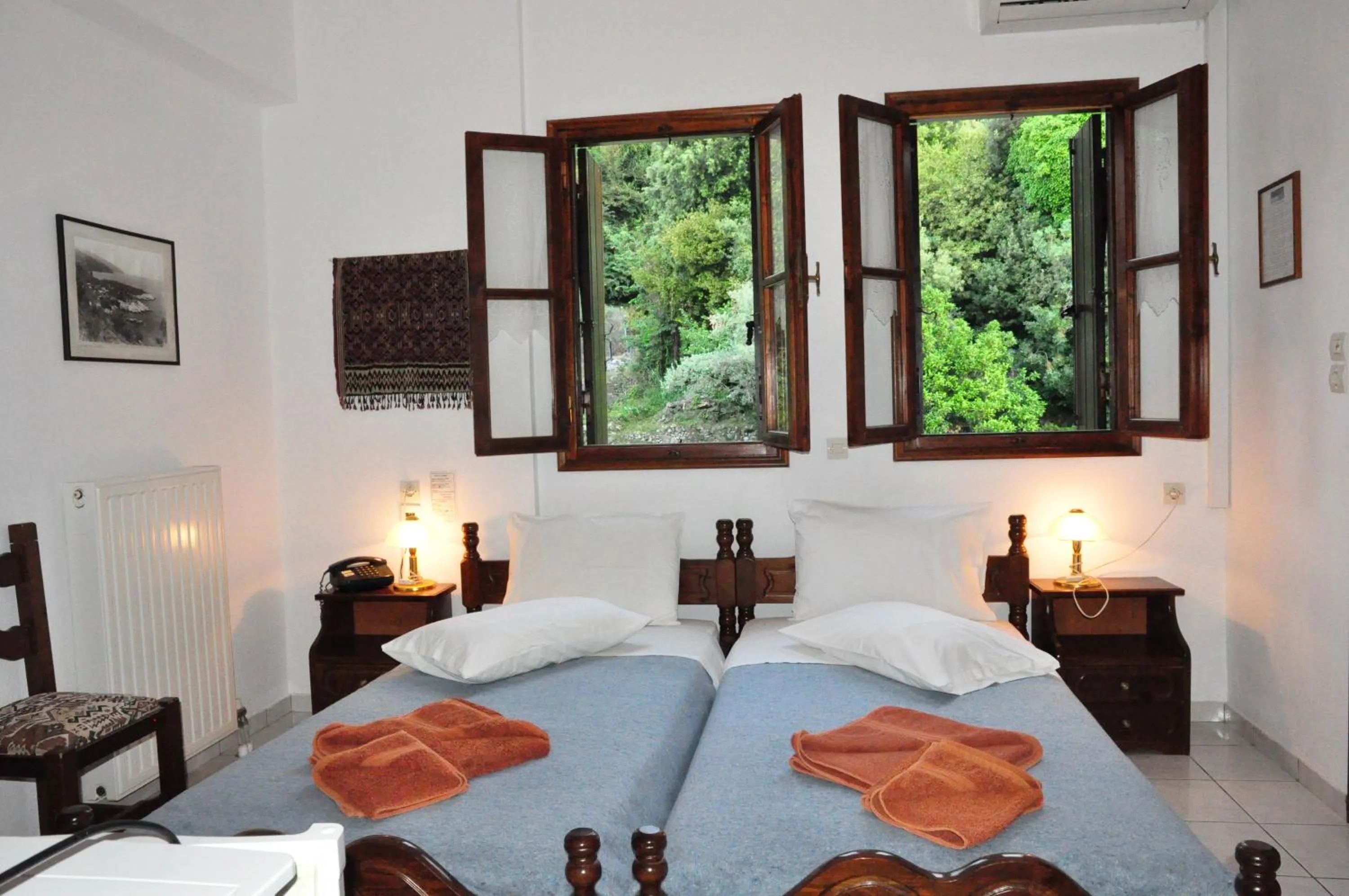 Economy Double Room with Garden View - single occupancy in Hotel Hagiati