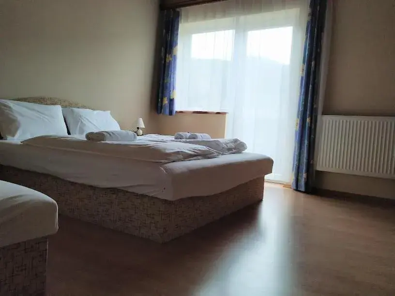 Family Room with Balcony in Pension Tilly Family Room with Balcony in Pension Tilly